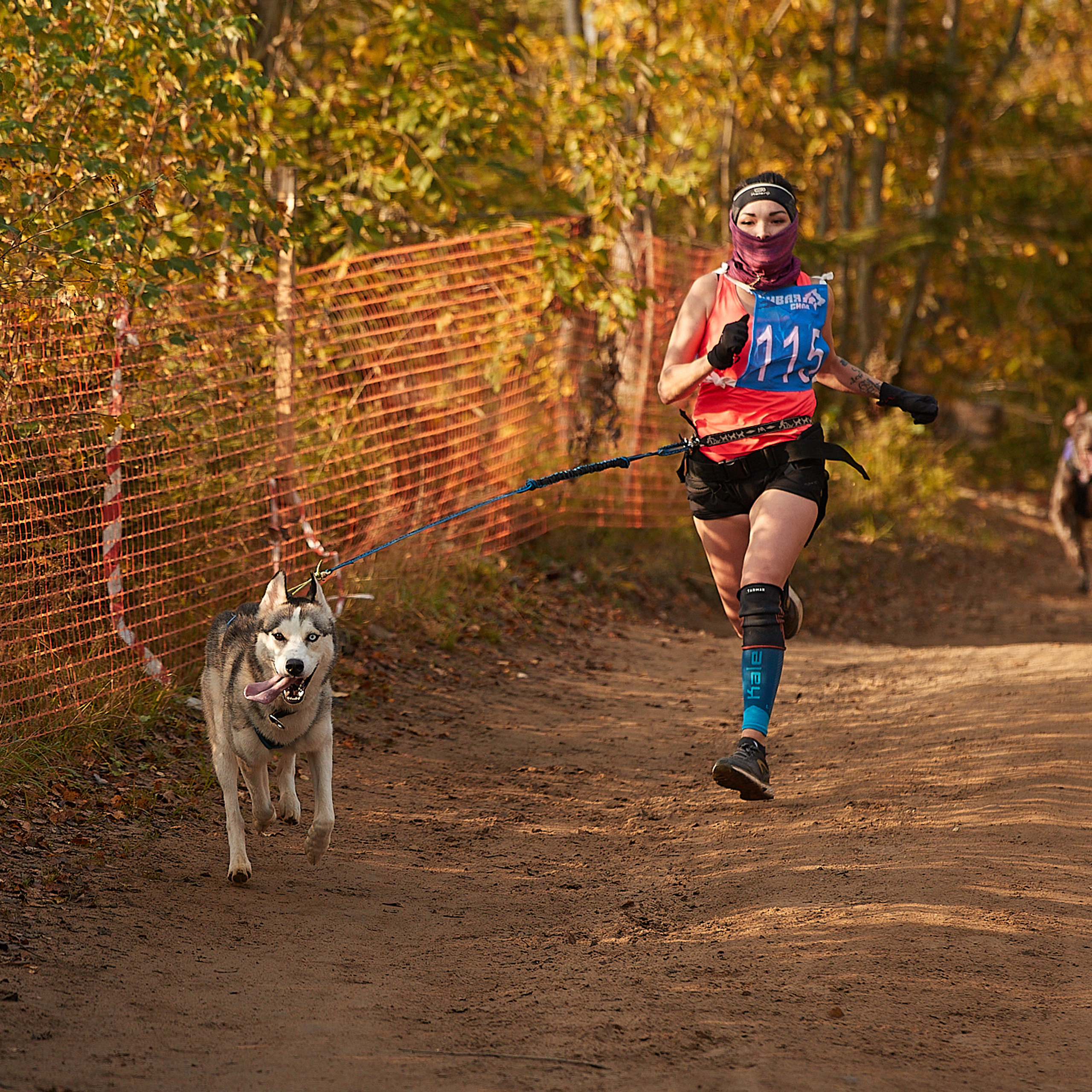 ЧЕМПИОНАТ РОССИИ РКФ 27 сентября 2020 г., 2й день. ФОТОГРАФ-АНИМАЛИСТ l LANA POLYAKOVA
