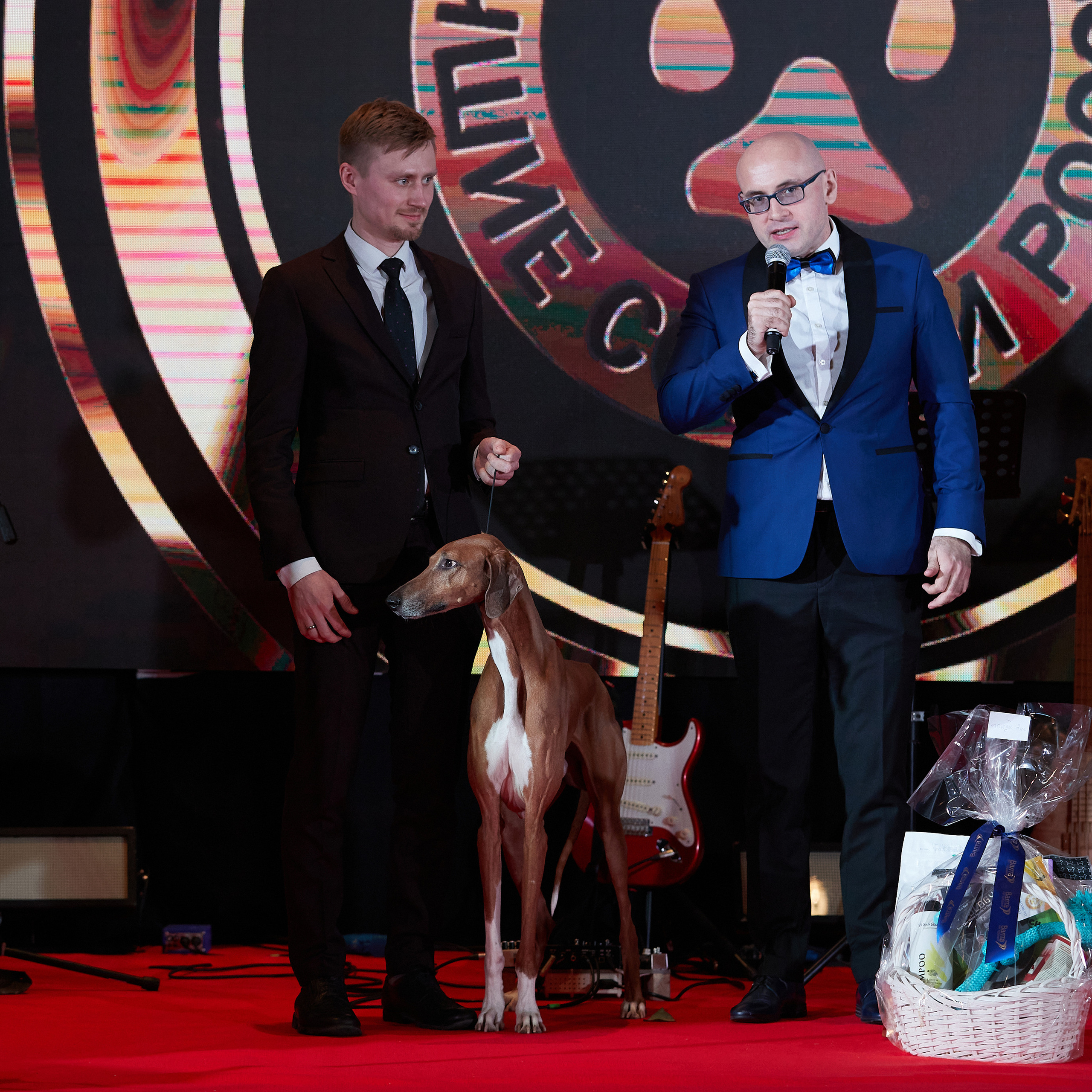 Репортаж с церемонии «BEST RUSSIAN DOG 2022». ФОТОГРАФ-АНИМАЛИСТ l LANA POLYAKOVA