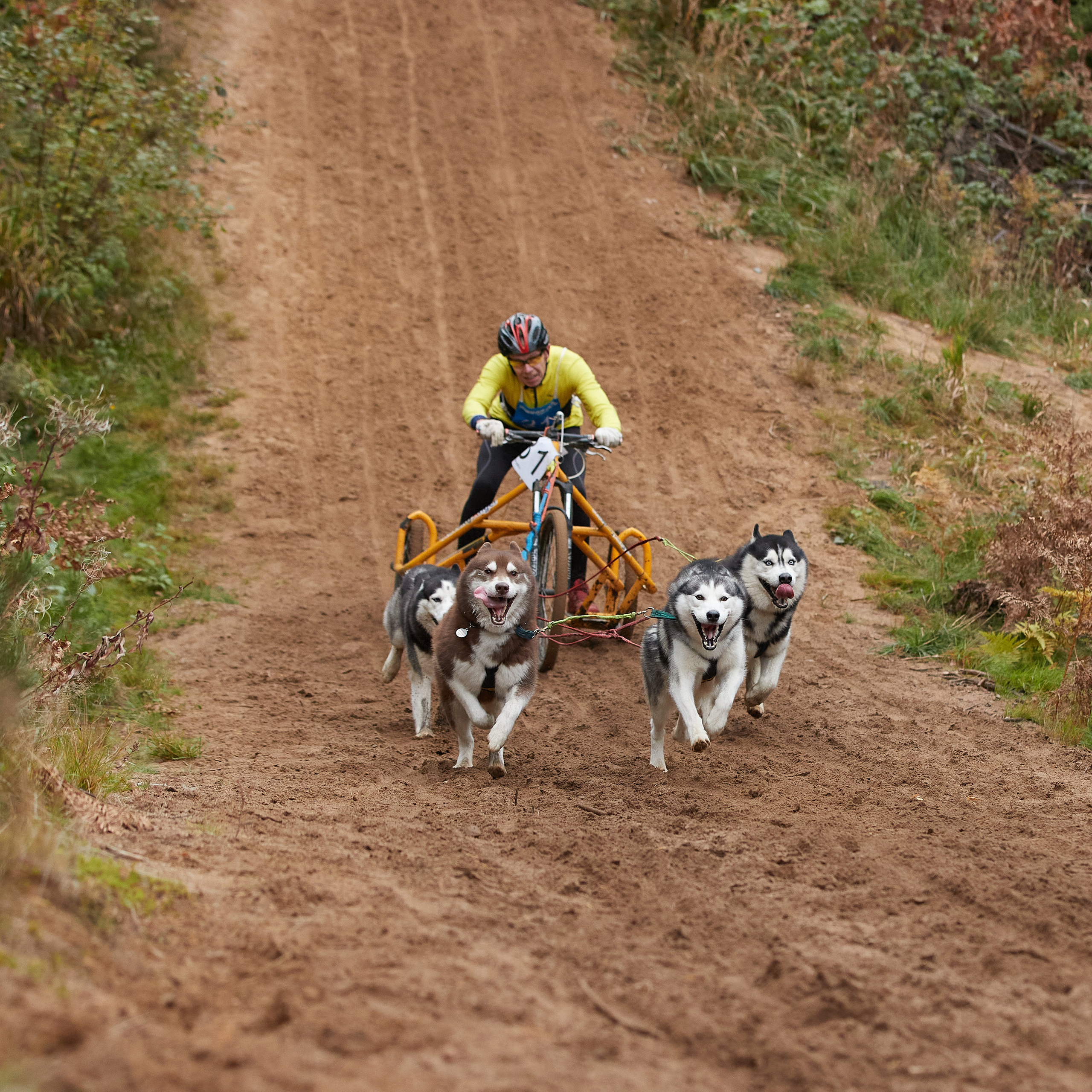 ЧЕМПИОНАТ РОССИИ РКФ 25–26 сентября 2021 г. ФОТОГРАФ-АНИМАЛИСТ l LANA POLYAKOVA