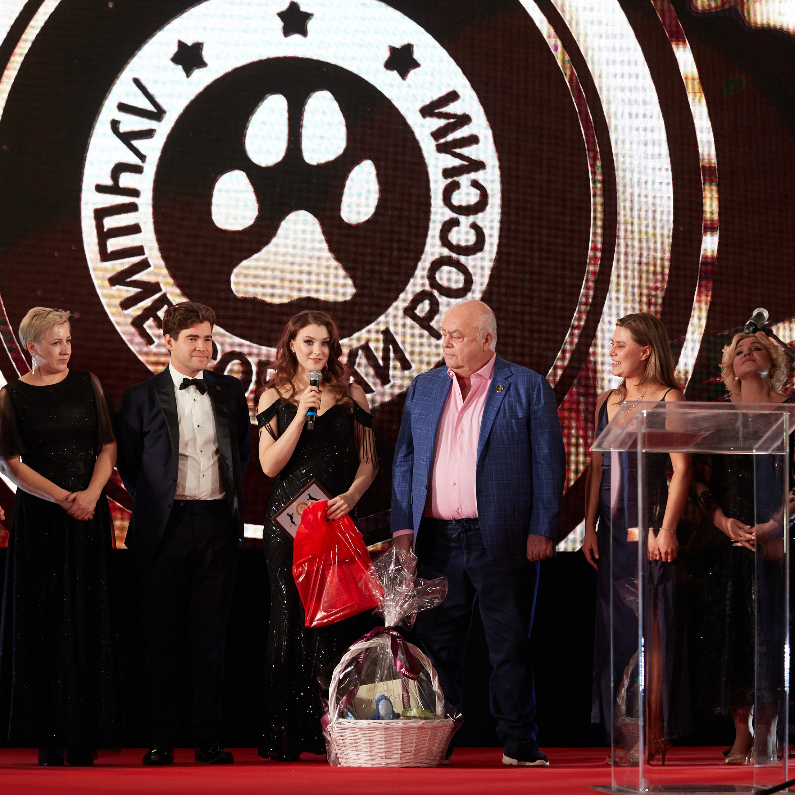Репортаж с церемонии «BEST RUSSIAN DOG 2023». ФОТОГРАФ-АНИМАЛИСТ l LANA POLYAKOVA