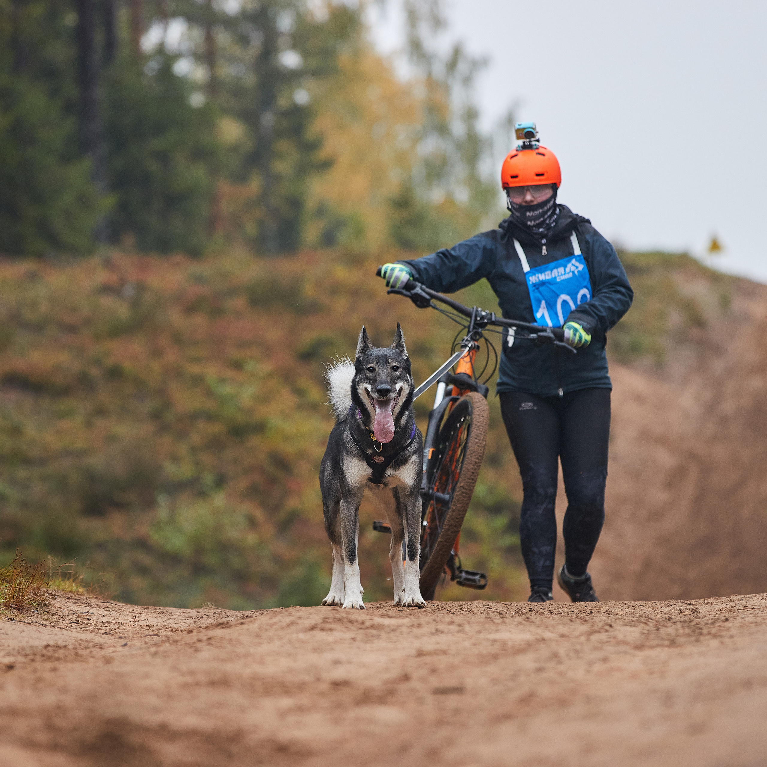 ЧЕМПИОНАТ РОССИИ РКФ 25–26 сентября 2021 г. ФОТОГРАФ-АНИМАЛИСТ l LANA POLYAKOVA