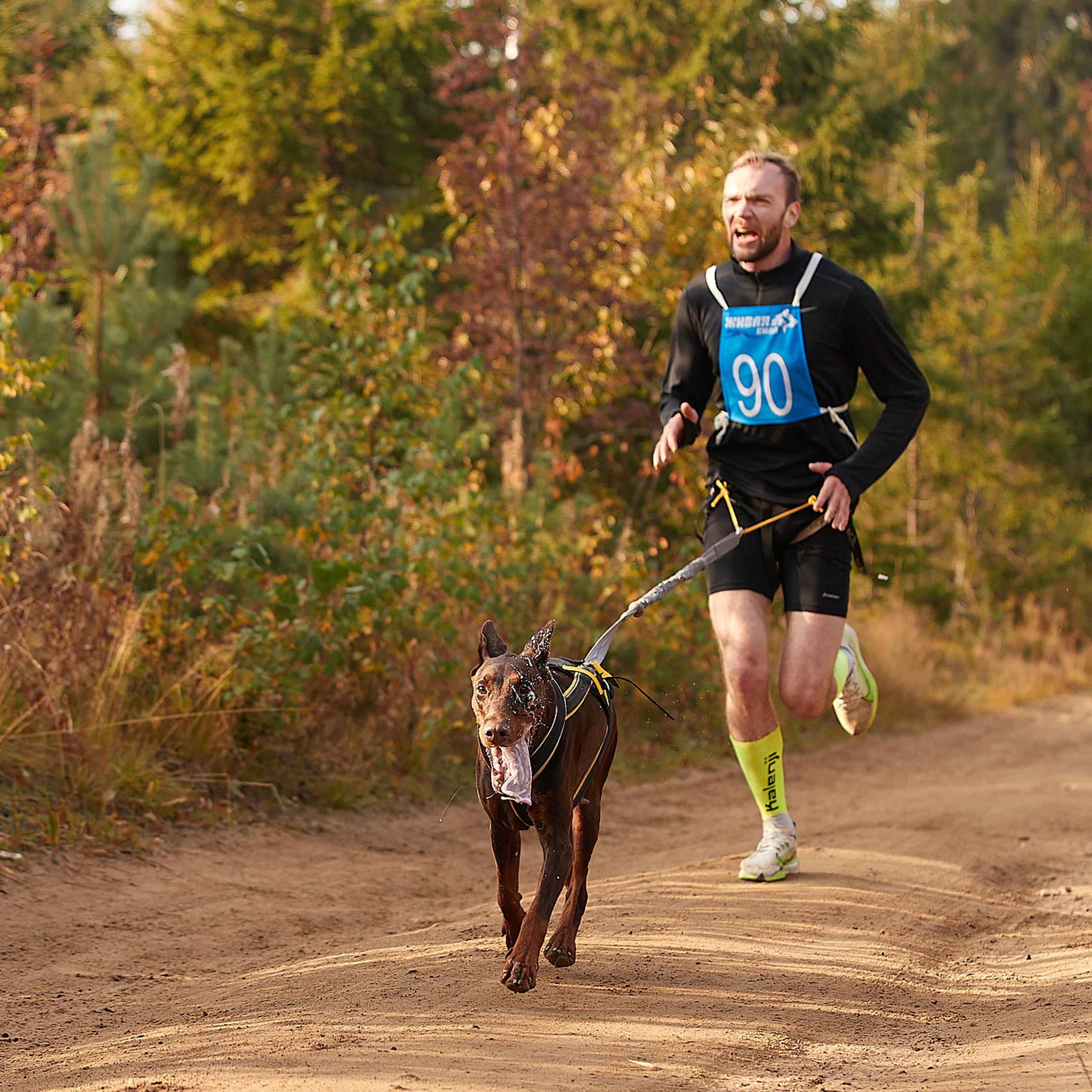 ЧЕМПИОНАТ РОССИИ РКФ 27 сентября 2020 г., 2й день. ФОТОГРАФ-АНИМАЛИСТ l LANA POLYAKOVA