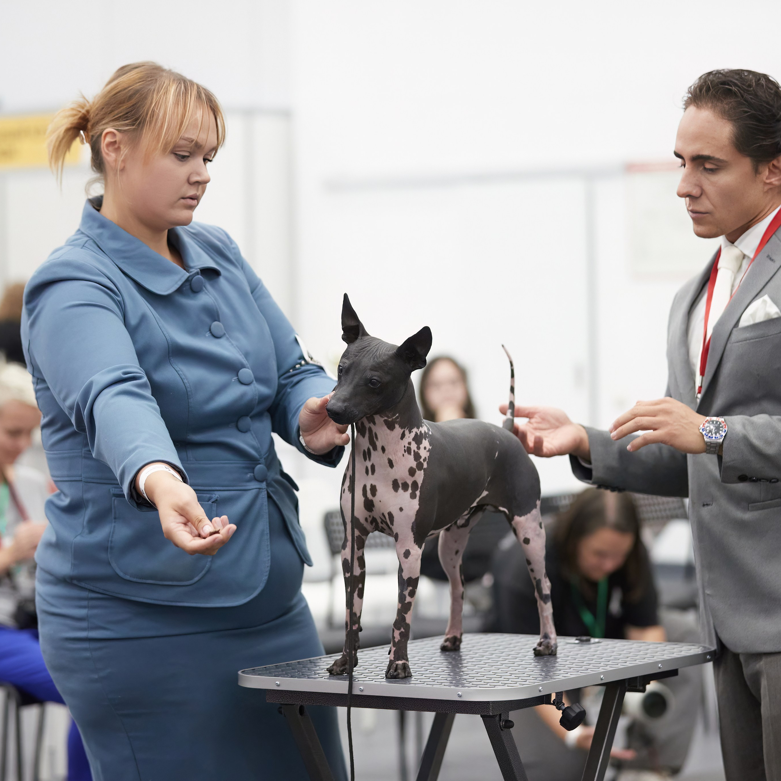 «СЕЗОН В НИЖНЕМ» НИЖНИЙ НОВГОРОД-2024. ФОТОГРАФ-АНИМАЛИСТ l LANA POLYAKOVA