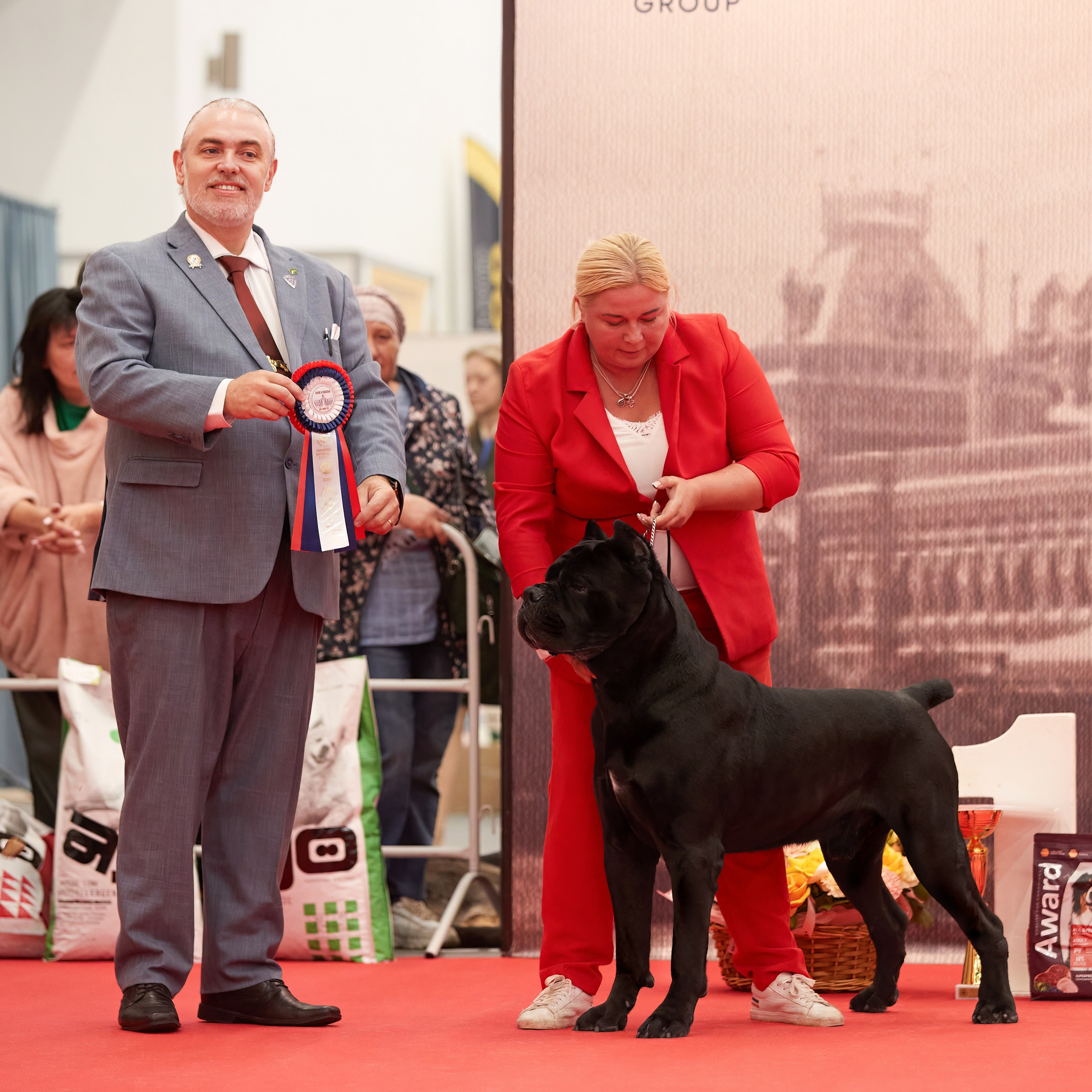«СЕЗОН В НИЖНЕМ» НИЖНИЙ НОВГОРОД-2024. ФОТОГРАФ-АНИМАЛИСТ l LANA POLYAKOVA
