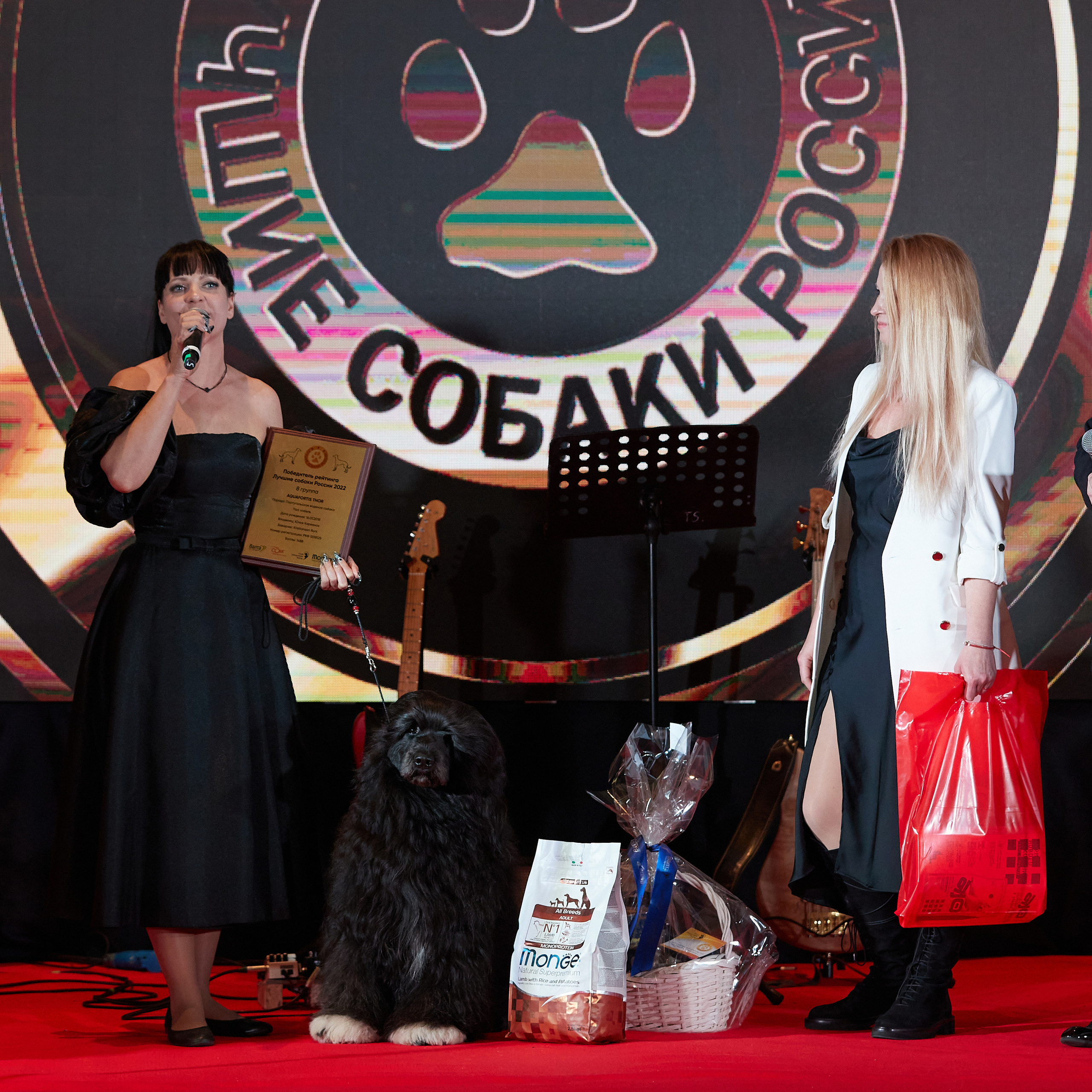 Репортаж с церемонии «BEST RUSSIAN DOG 2022». ФОТОГРАФ-АНИМАЛИСТ l LANA POLYAKOVA