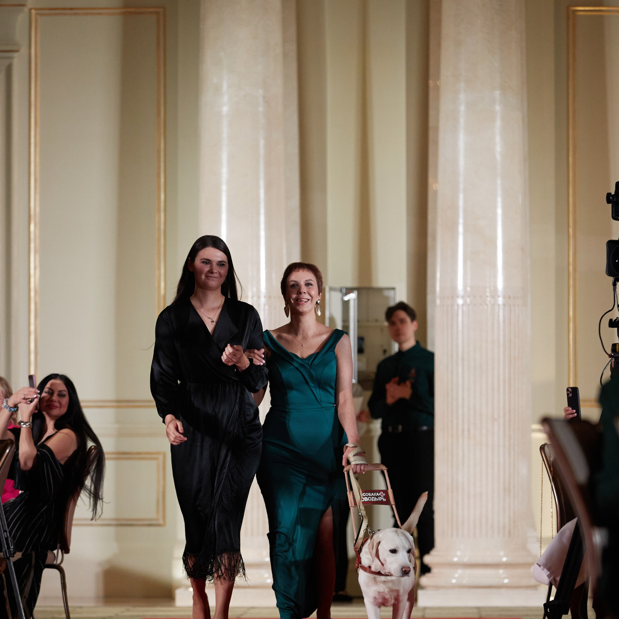 Репортаж с церемонии «BEST RUSSIAN DOG 2023». ФОТОГРАФ-АНИМАЛИСТ l LANA POLYAKOVA
