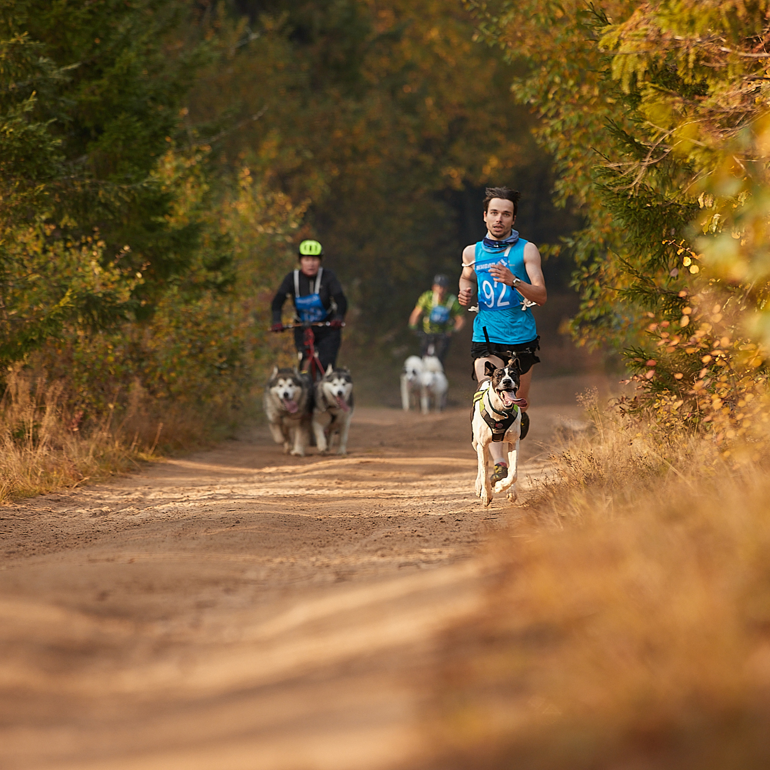 ЧЕМПИОНАТ РОССИИ РКФ 27 сентября 2020 г., 2й день. ФОТОГРАФ-АНИМАЛИСТ l LANA POLYAKOVA