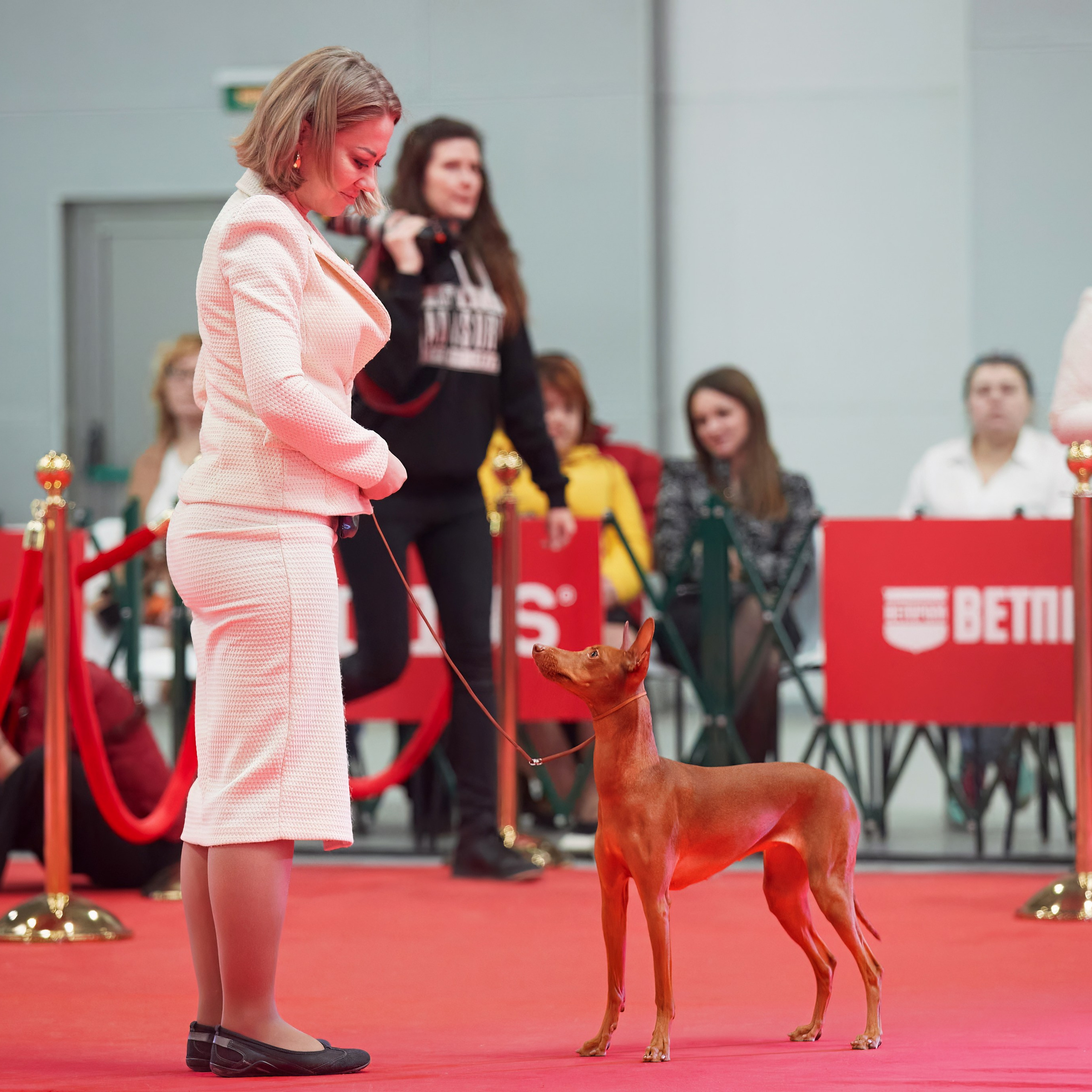 Шоу чемпионов «ЛУЧШИЕ СОБАКИ РОССИИ». ФОТОГРАФ-АНИМАЛИСТ l LANA POLYAKOVA