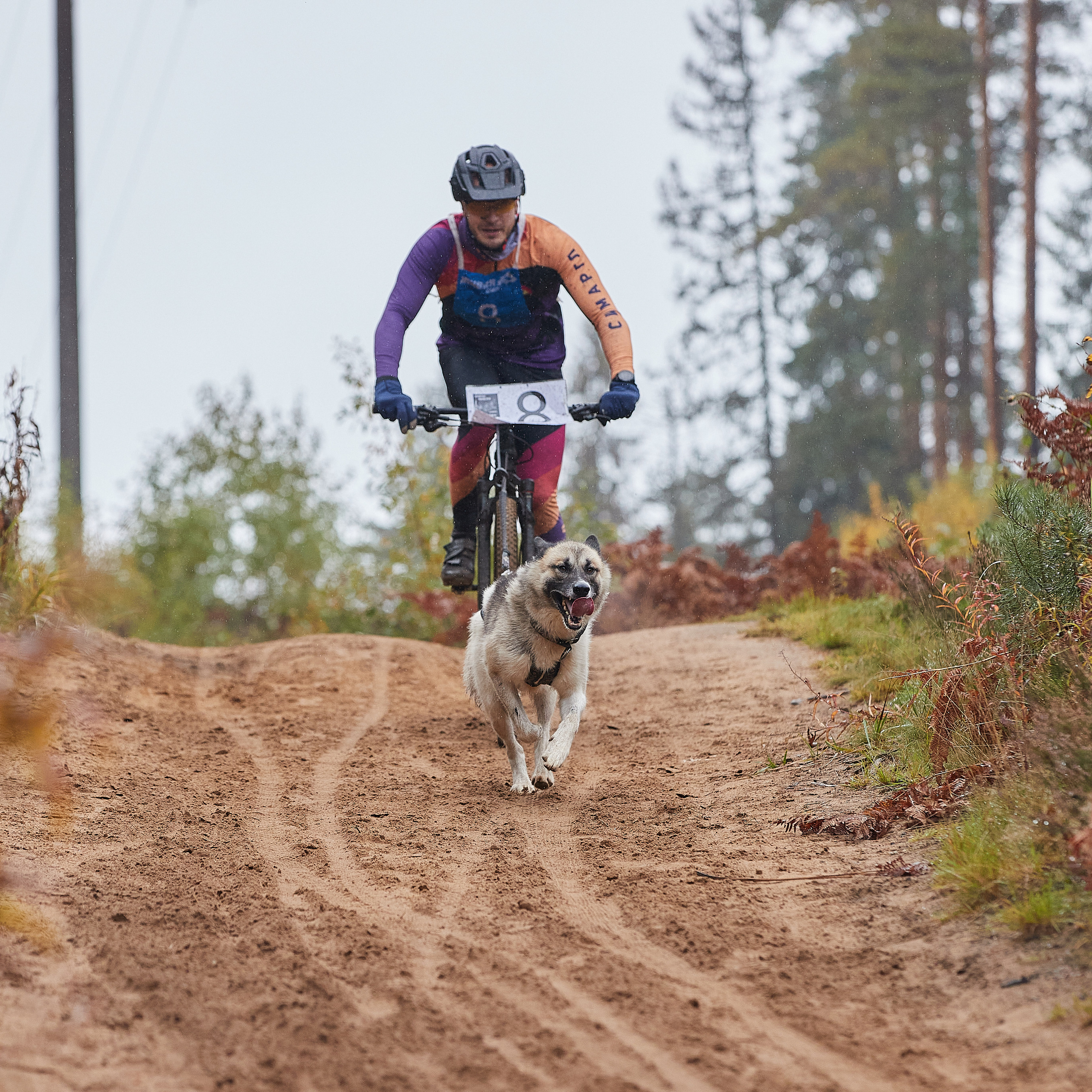 ЧЕМПИОНАТ РОССИИ РКФ 25–26 сентября 2021 г. ФОТОГРАФ-АНИМАЛИСТ l LANA POLYAKOVA