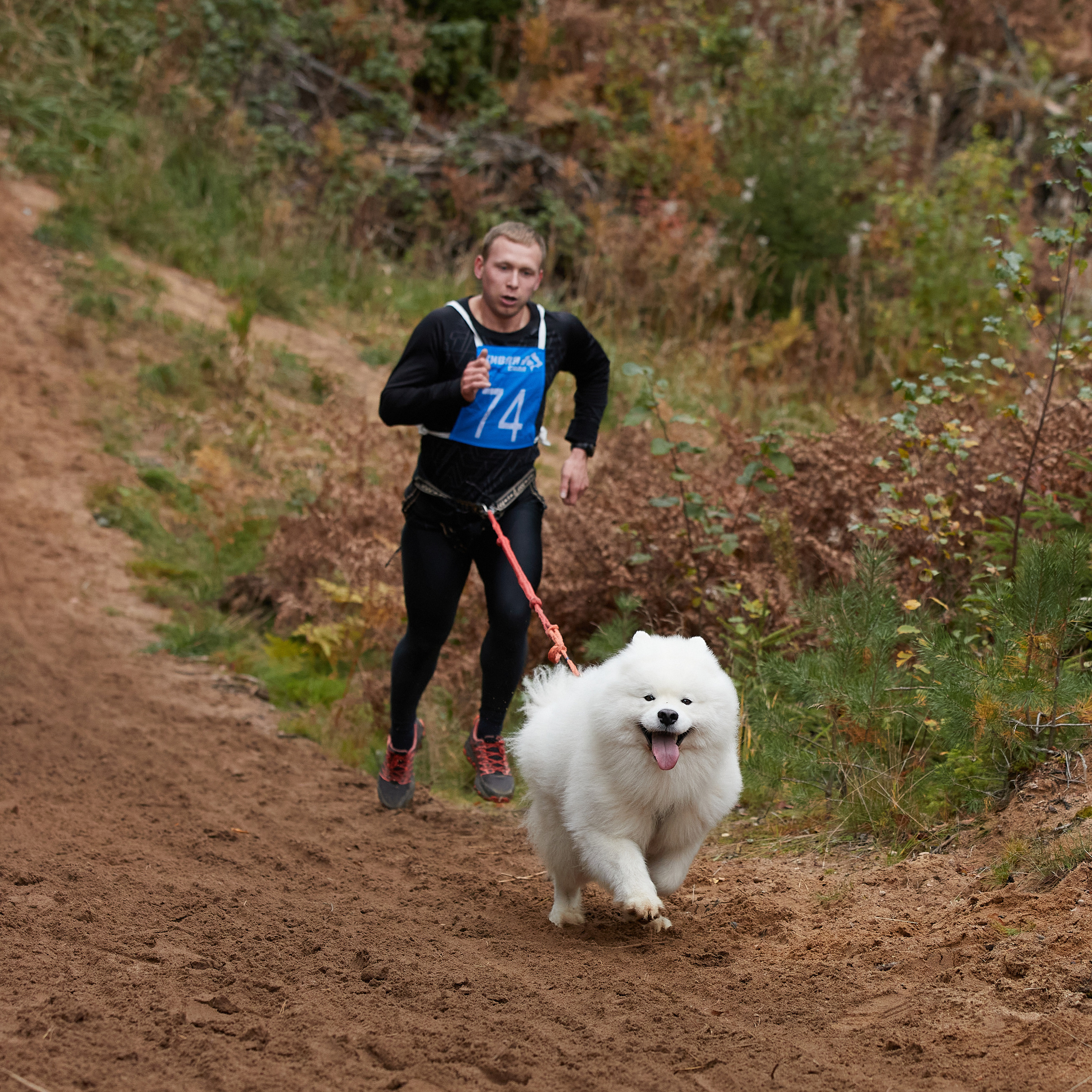 ЧЕМПИОНАТ РОССИИ РКФ 25–26 сентября 2021 г. ФОТОГРАФ-АНИМАЛИСТ l LANA POLYAKOVA