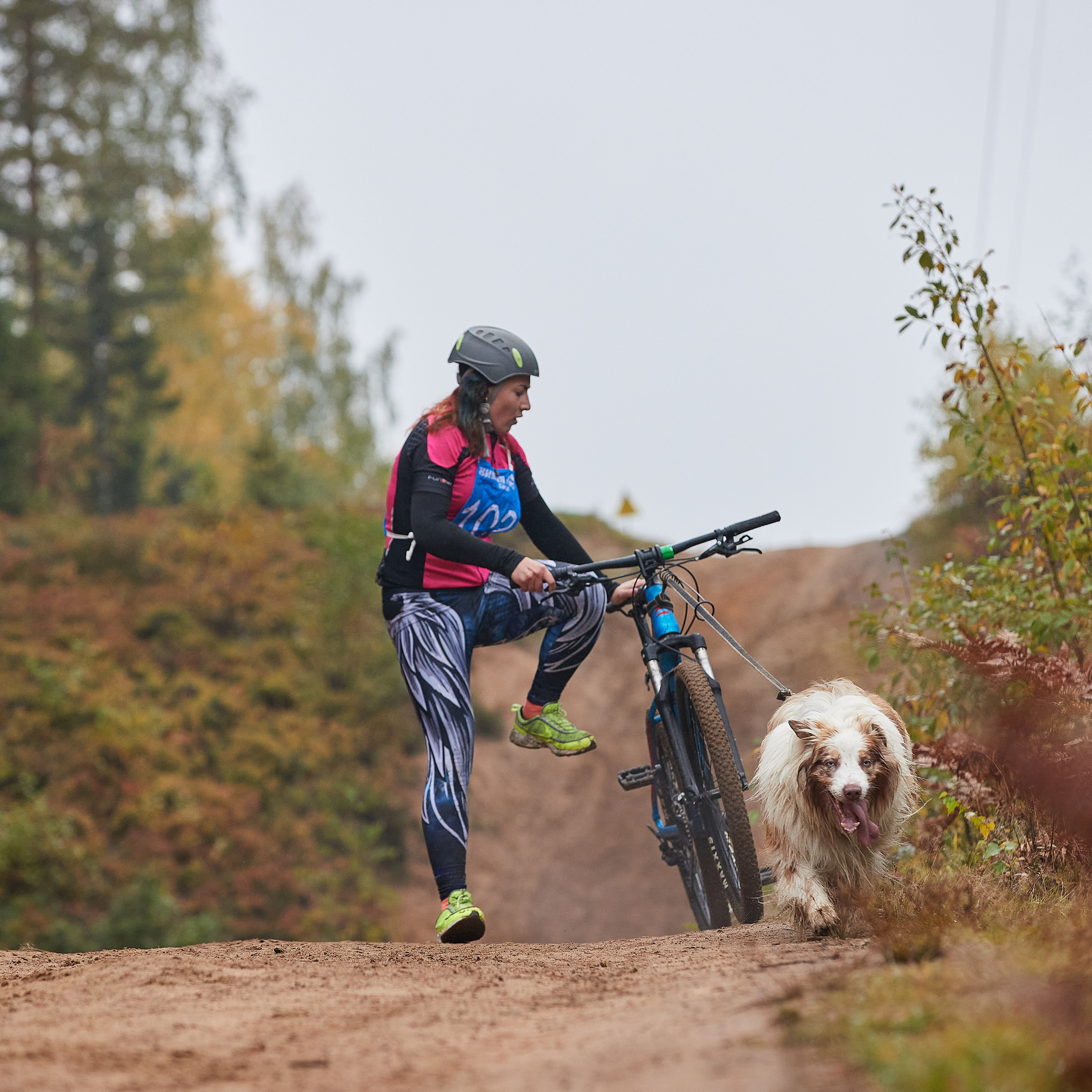 ЧЕМПИОНАТ РОССИИ РКФ 25–26 сентября 2021 г. ФОТОГРАФ-АНИМАЛИСТ l LANA POLYAKOVA
