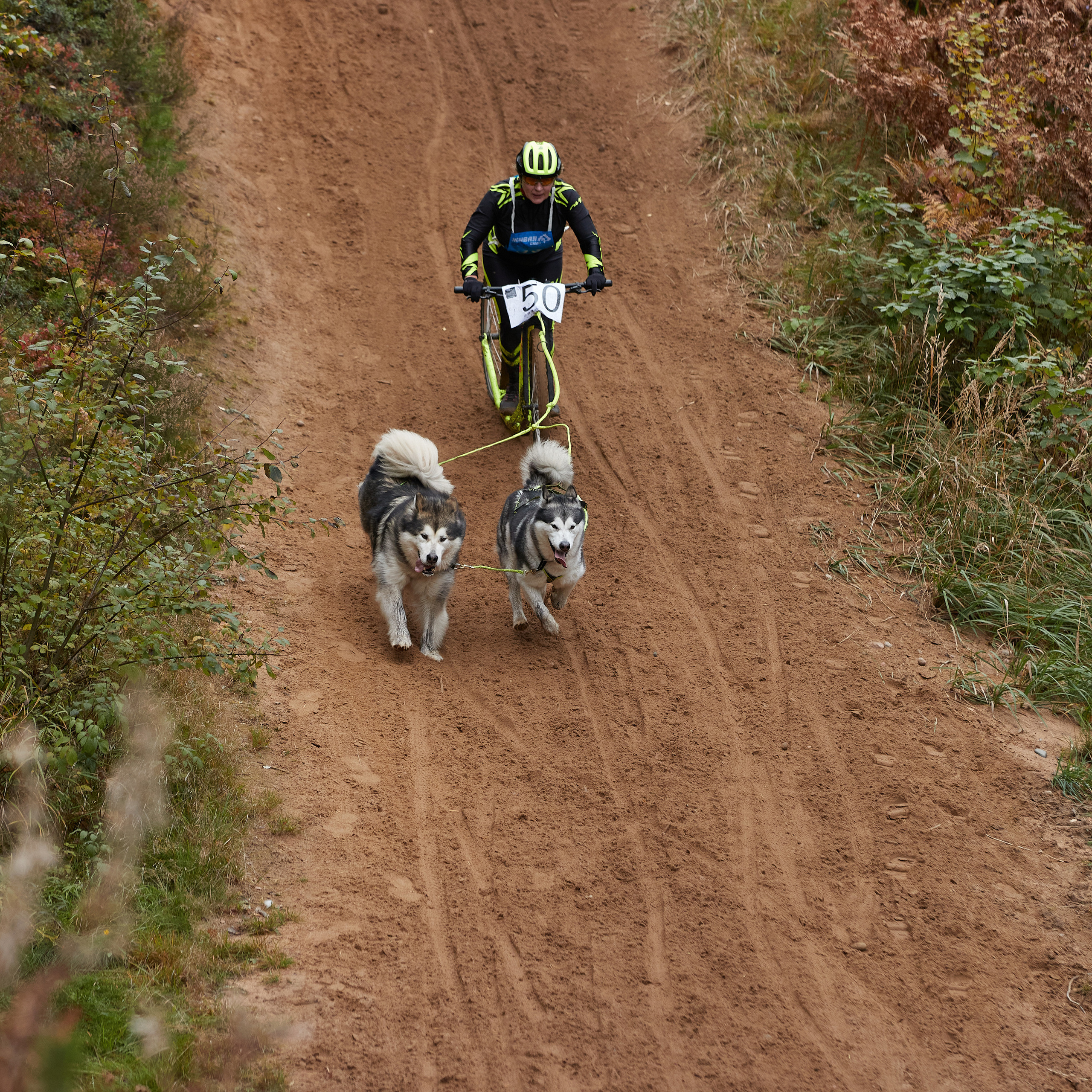 ЧЕМПИОНАТ РОССИИ РКФ 25–26 сентября 2021 г. ФОТОГРАФ-АНИМАЛИСТ l LANA POLYAKOVA