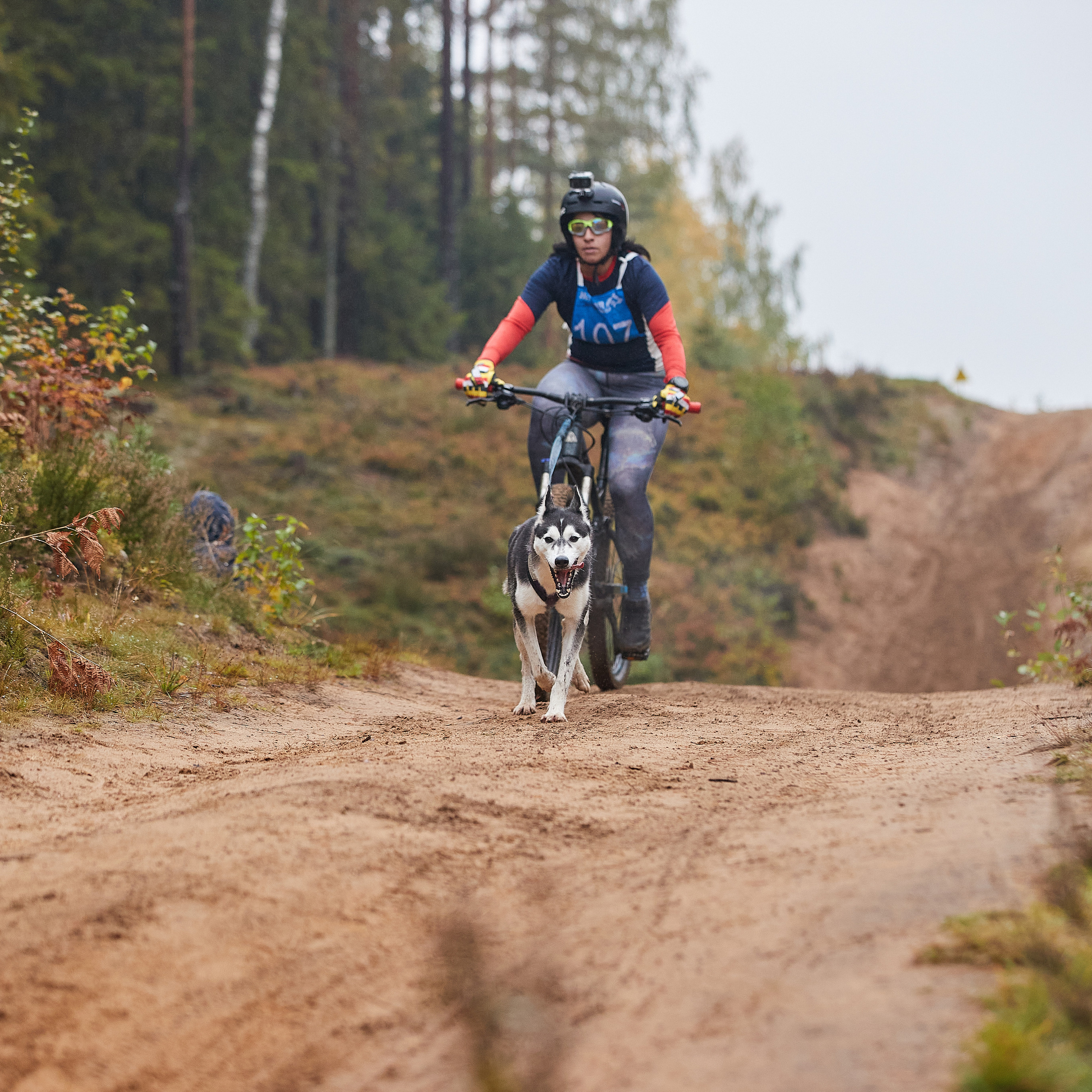 ЧЕМПИОНАТ РОССИИ РКФ 25–26 сентября 2021 г. ФОТОГРАФ-АНИМАЛИСТ l LANA POLYAKOVA