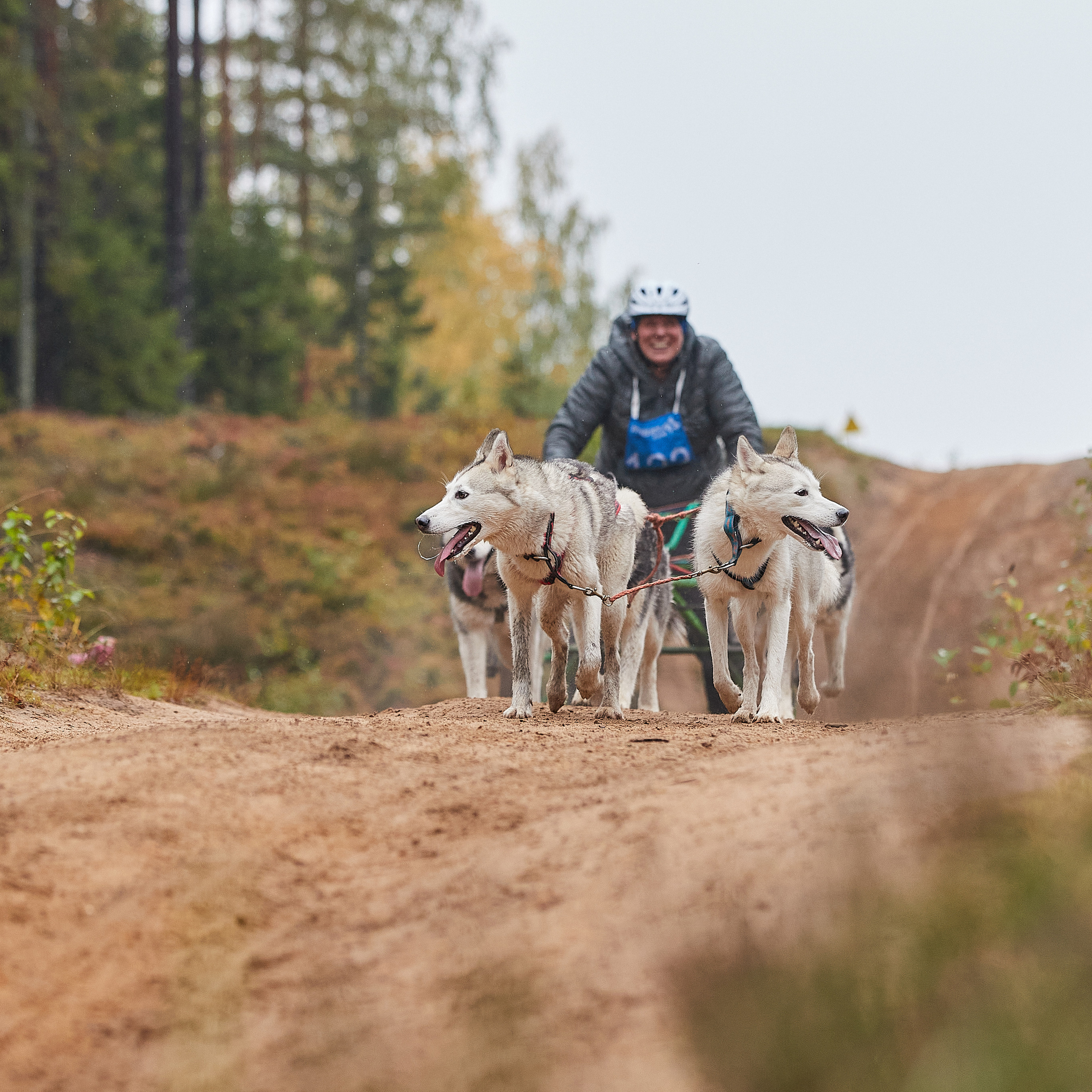 ЧЕМПИОНАТ РОССИИ РКФ 25–26 сентября 2021 г. ФОТОГРАФ-АНИМАЛИСТ l LANA POLYAKOVA