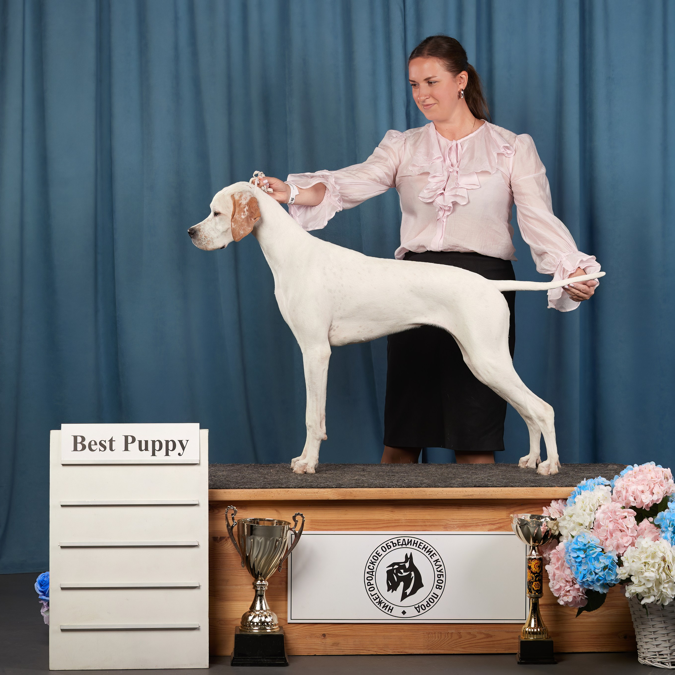 «СЕЗОН В НИЖНЕМ» НИЖНИЙ НОВГОРОД-2024. ФОТОГРАФ-АНИМАЛИСТ l LANA POLYAKOVA