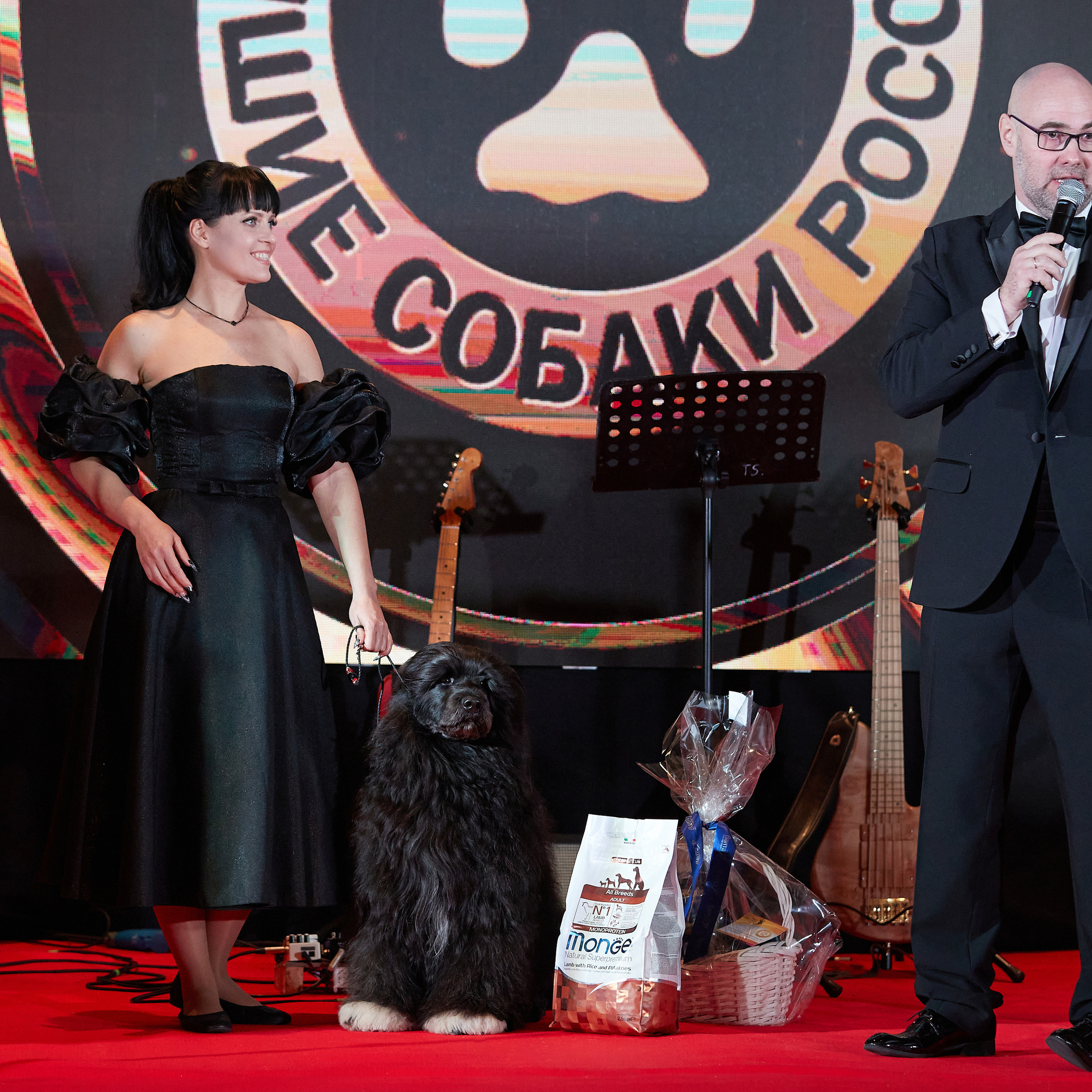 Репортаж с церемонии «BEST RUSSIAN DOG 2022». ФОТОГРАФ-АНИМАЛИСТ l LANA POLYAKOVA