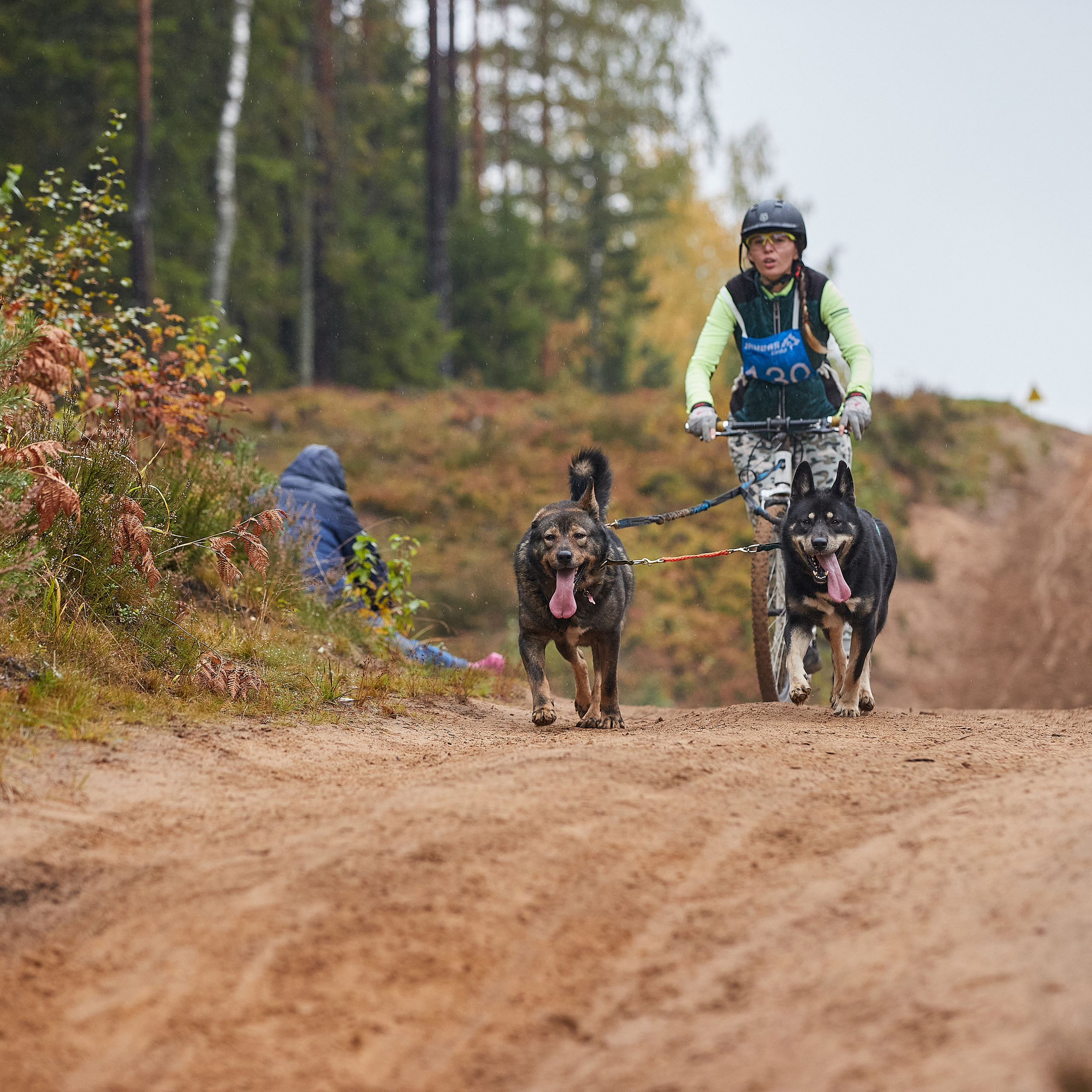 ЧЕМПИОНАТ РОССИИ РКФ 25–26 сентября 2021 г. ФОТОГРАФ-АНИМАЛИСТ l LANA POLYAKOVA