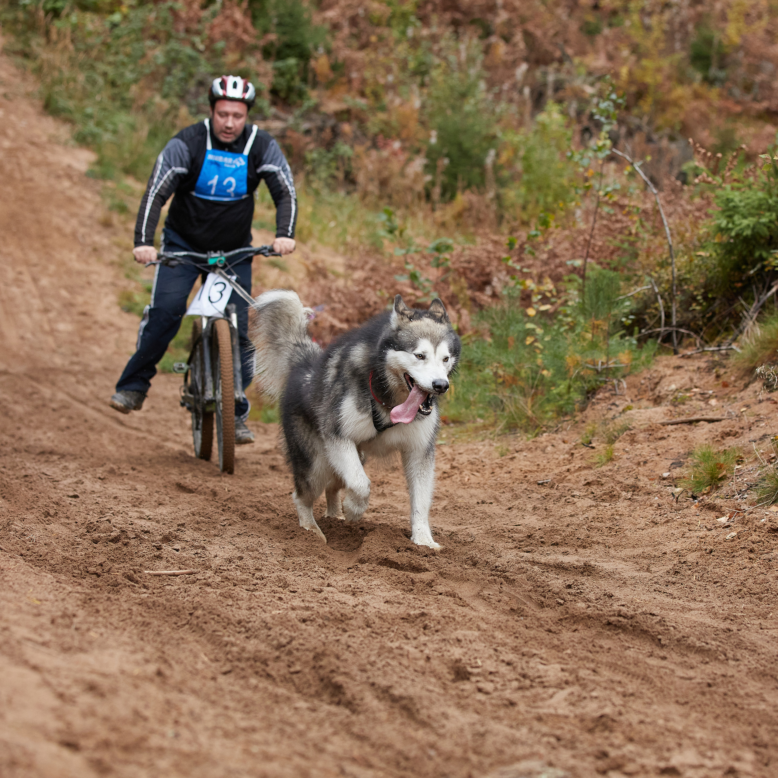 ЧЕМПИОНАТ РОССИИ РКФ 25–26 сентября 2021 г. ФОТОГРАФ-АНИМАЛИСТ l LANA POLYAKOVA