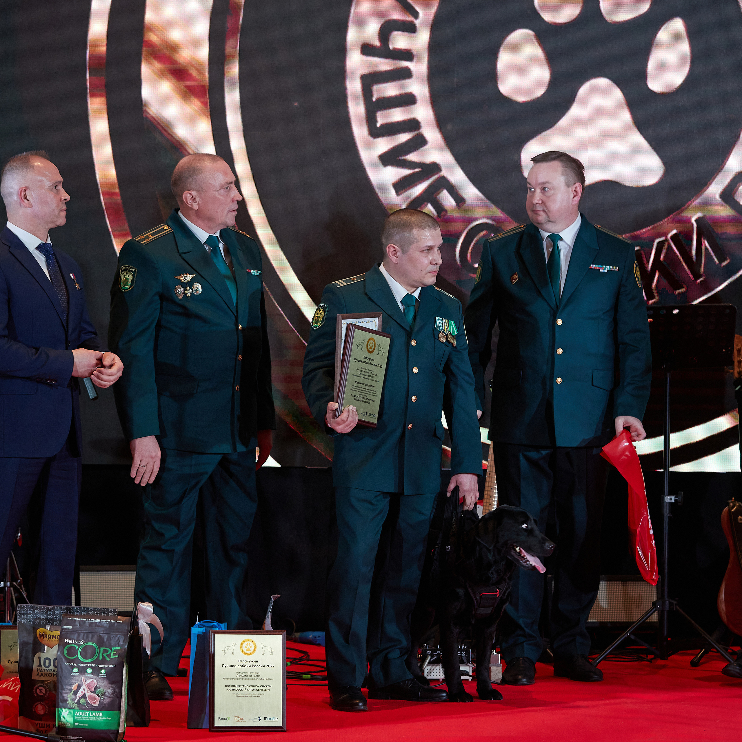 Репортаж с церемонии «BEST RUSSIAN DOG 2022». ФОТОГРАФ-АНИМАЛИСТ l LANA POLYAKOVA