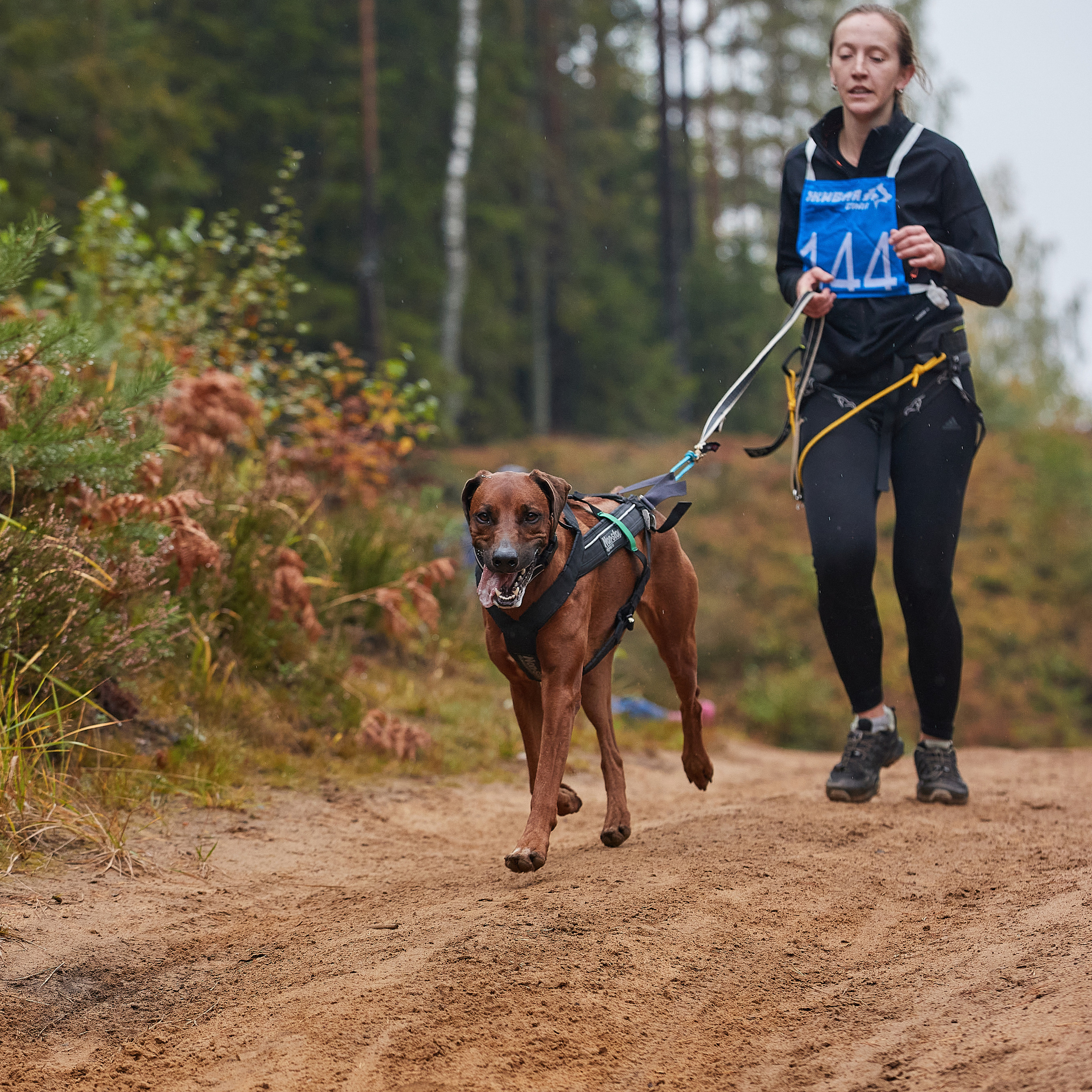 ЧЕМПИОНАТ РОССИИ РКФ 25–26 сентября 2021 г. ФОТОГРАФ-АНИМАЛИСТ l LANA POLYAKOVA