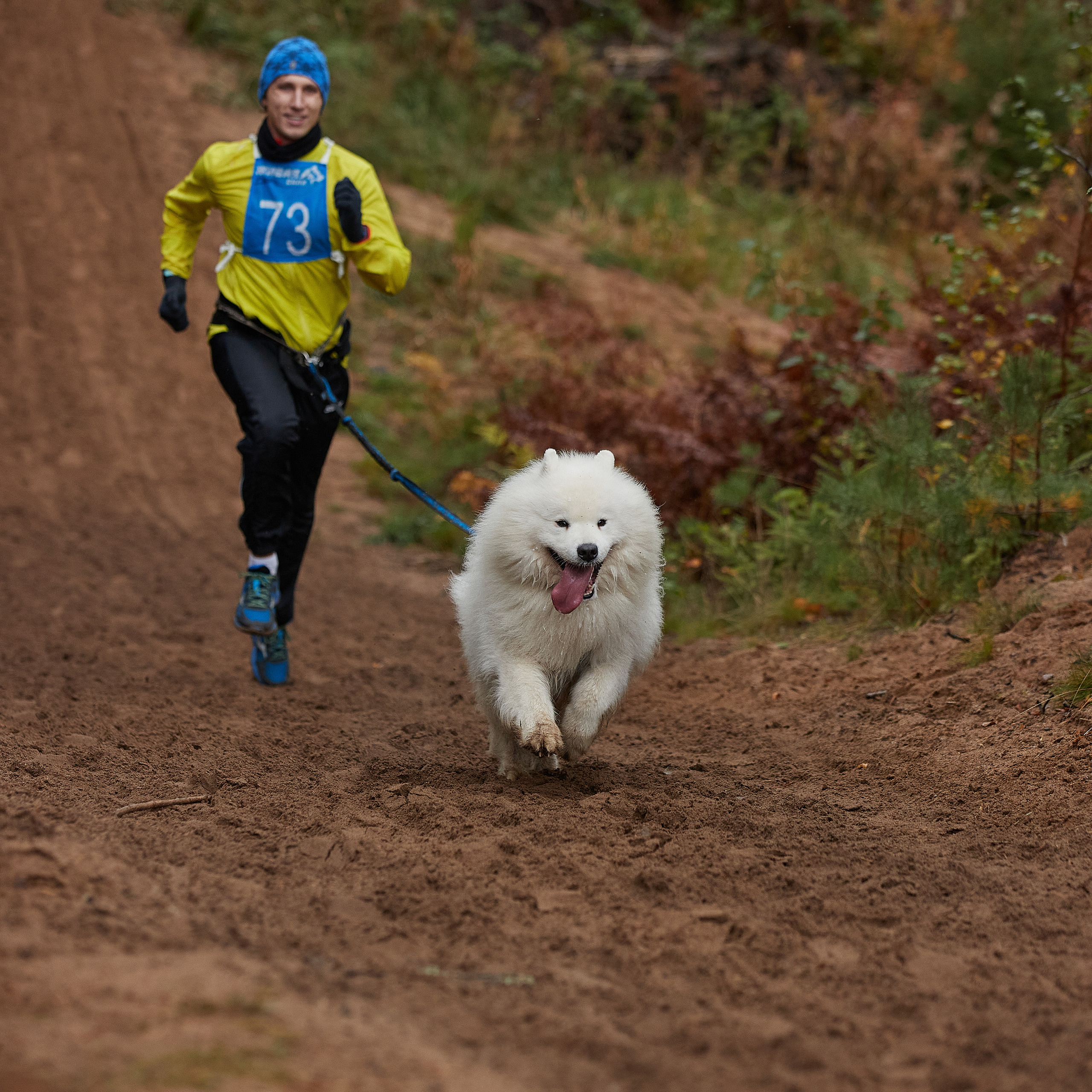 ЧЕМПИОНАТ РОССИИ РКФ 25–26 сентября 2021 г. ФОТОГРАФ-АНИМАЛИСТ l LANA POLYAKOVA