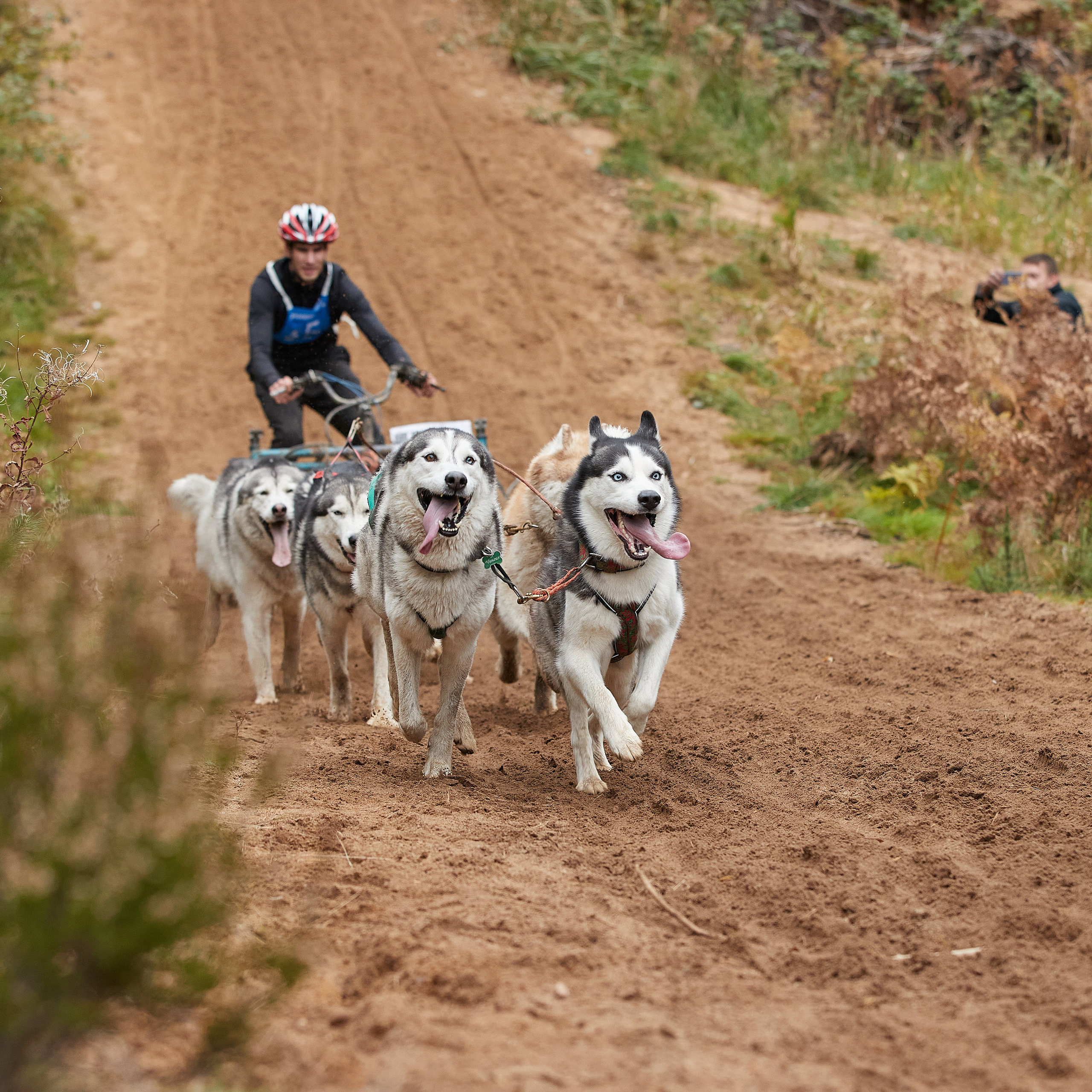 ЧЕМПИОНАТ РОССИИ РКФ 25–26 сентября 2021 г. ФОТОГРАФ-АНИМАЛИСТ l LANA POLYAKOVA
