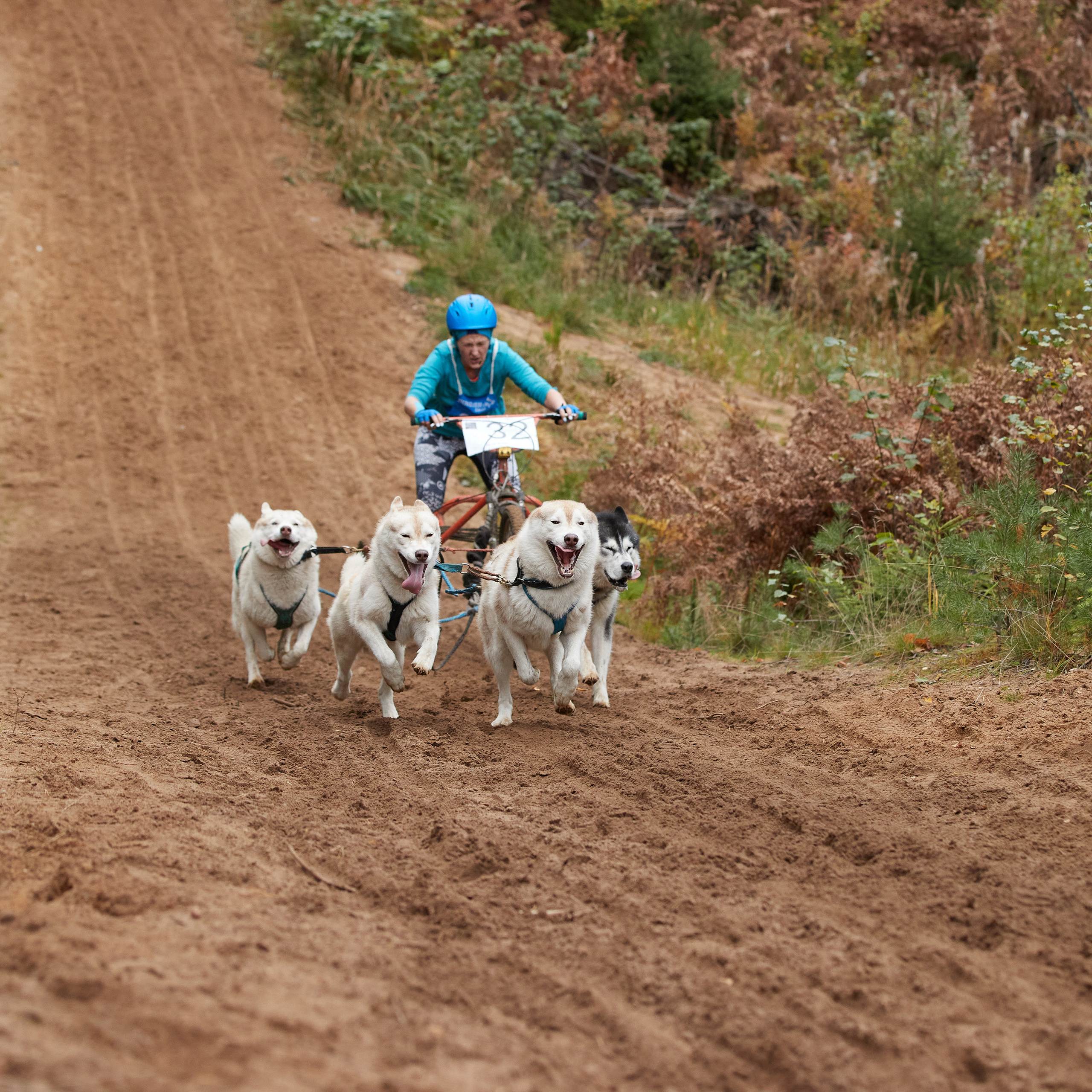 ЧЕМПИОНАТ РОССИИ РКФ 25–26 сентября 2021 г. ФОТОГРАФ-АНИМАЛИСТ l LANA POLYAKOVA