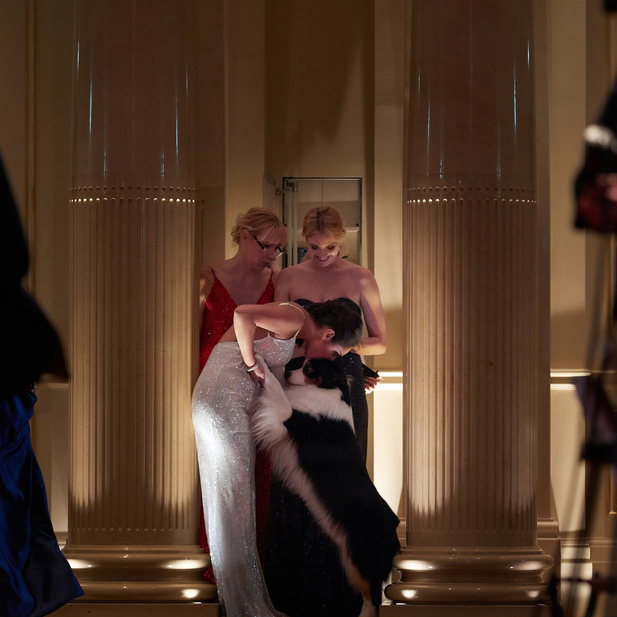 Репортаж с церемонии «BEST RUSSIAN DOG 2022». ФОТОГРАФ-АНИМАЛИСТ l LANA POLYAKOVA