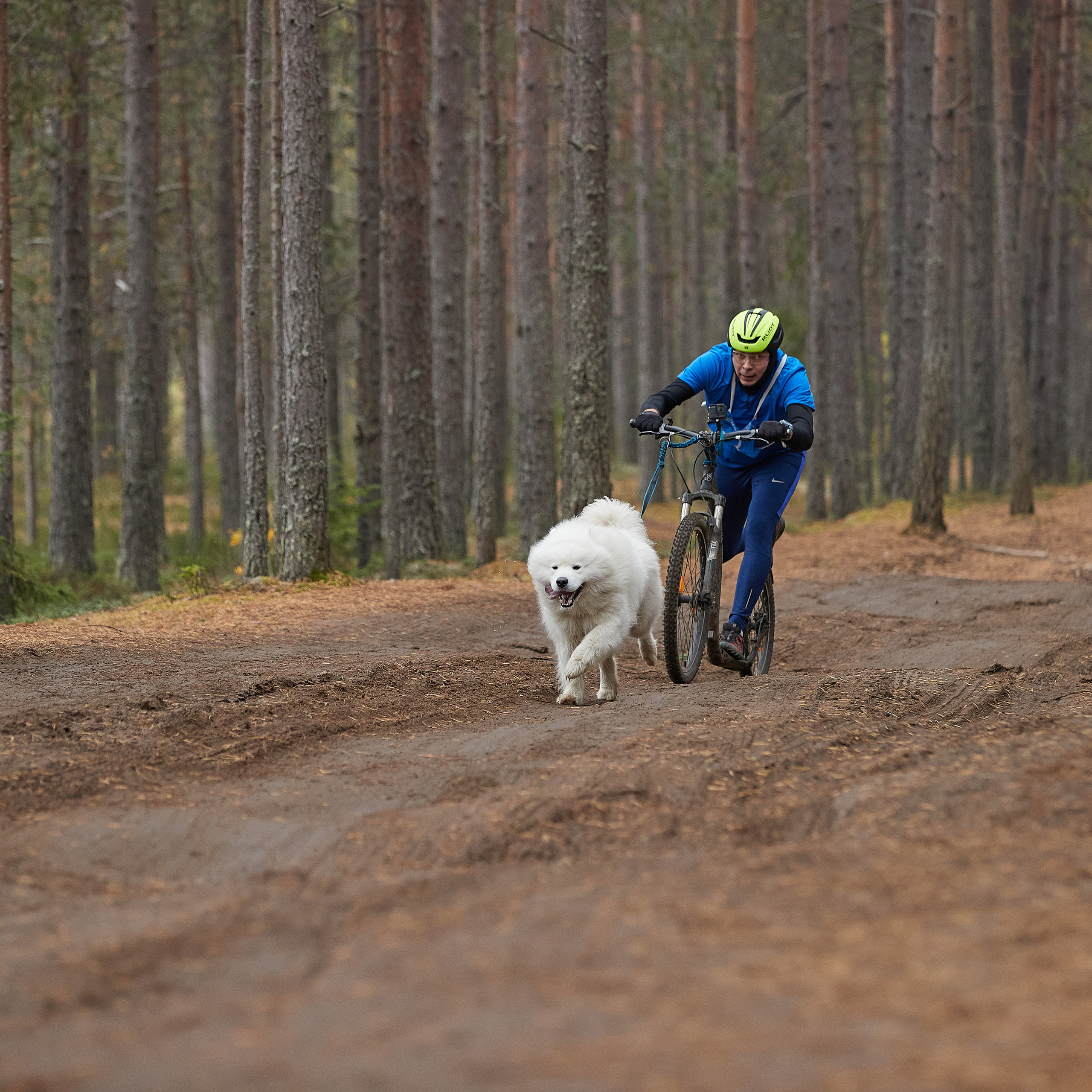 ЧЕМПИОНАТ РОССИИ РКФ 25–26 сентября 2021 г. ФОТОГРАФ-АНИМАЛИСТ l LANA POLYAKOVA