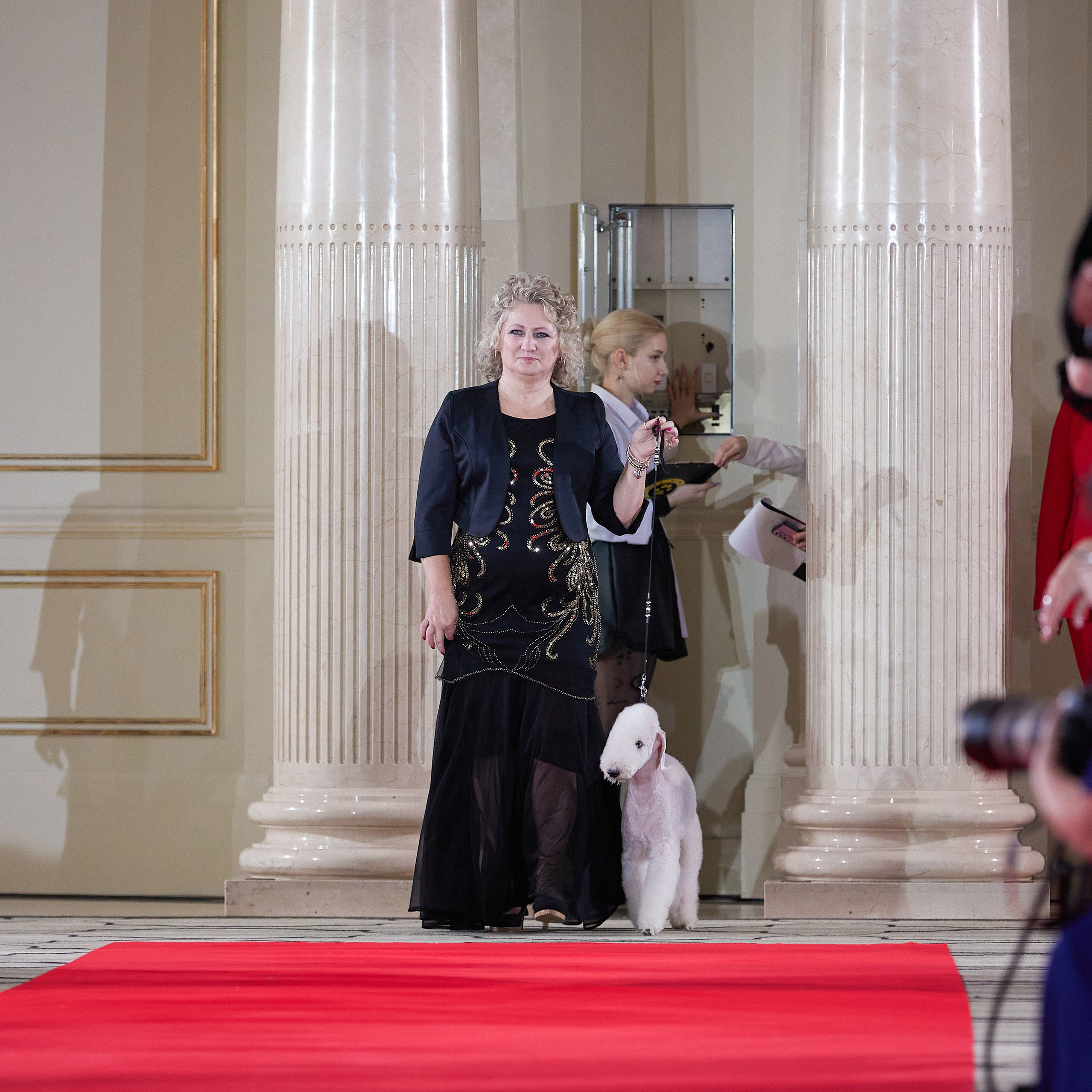 Репортаж с церемонии «BEST RUSSIAN DOG 2022». ФОТОГРАФ-АНИМАЛИСТ l LANA POLYAKOVA