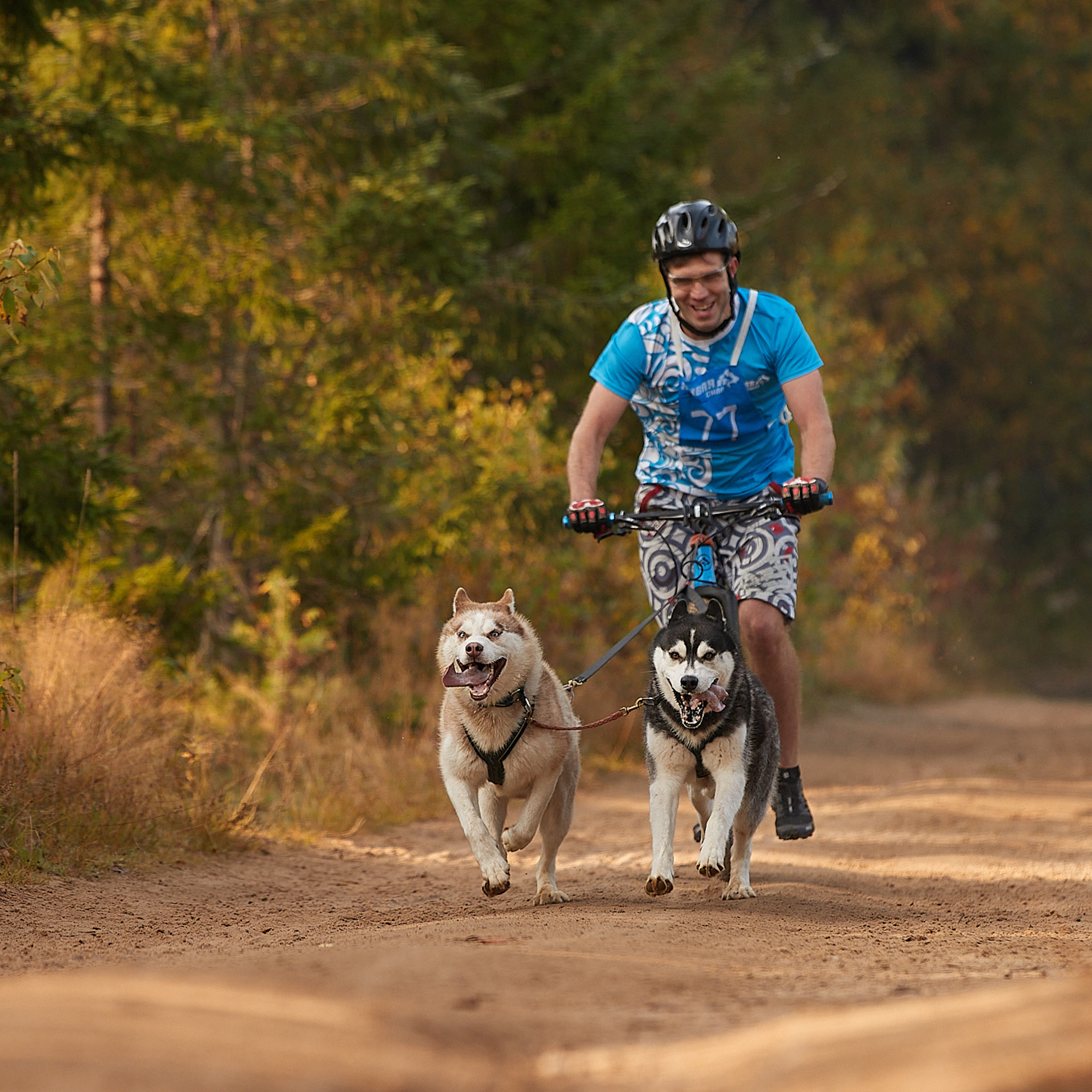ЧЕМПИОНАТ РОССИИ РКФ 27 сентября 2020 г., 2й день. ФОТОГРАФ-АНИМАЛИСТ l LANA POLYAKOVA