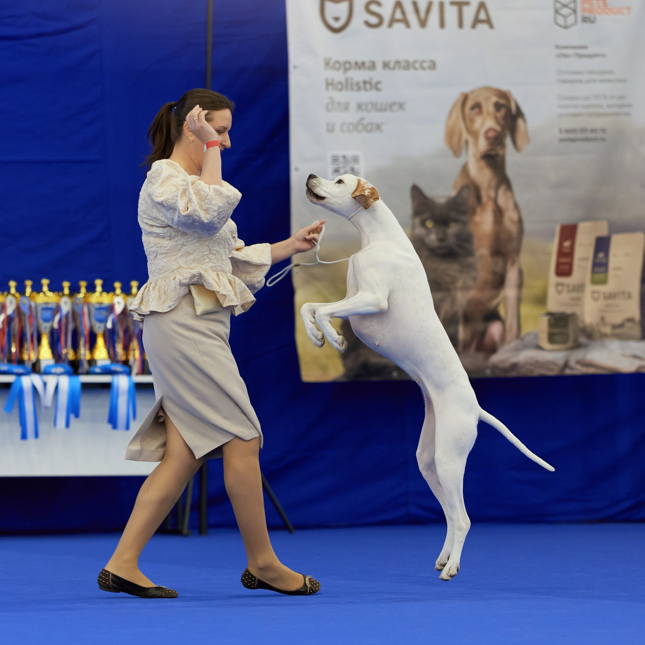 ВЫСТАВКА СОБАК С ОСОБЫМ СТАТУСОМ «НЕВСКИЙ ПОБЕДИТЕЛЬ» 12-13-14.12.2025. ФОТОГРАФ-АНИМАЛИСТ l LANA POLYAKOVA