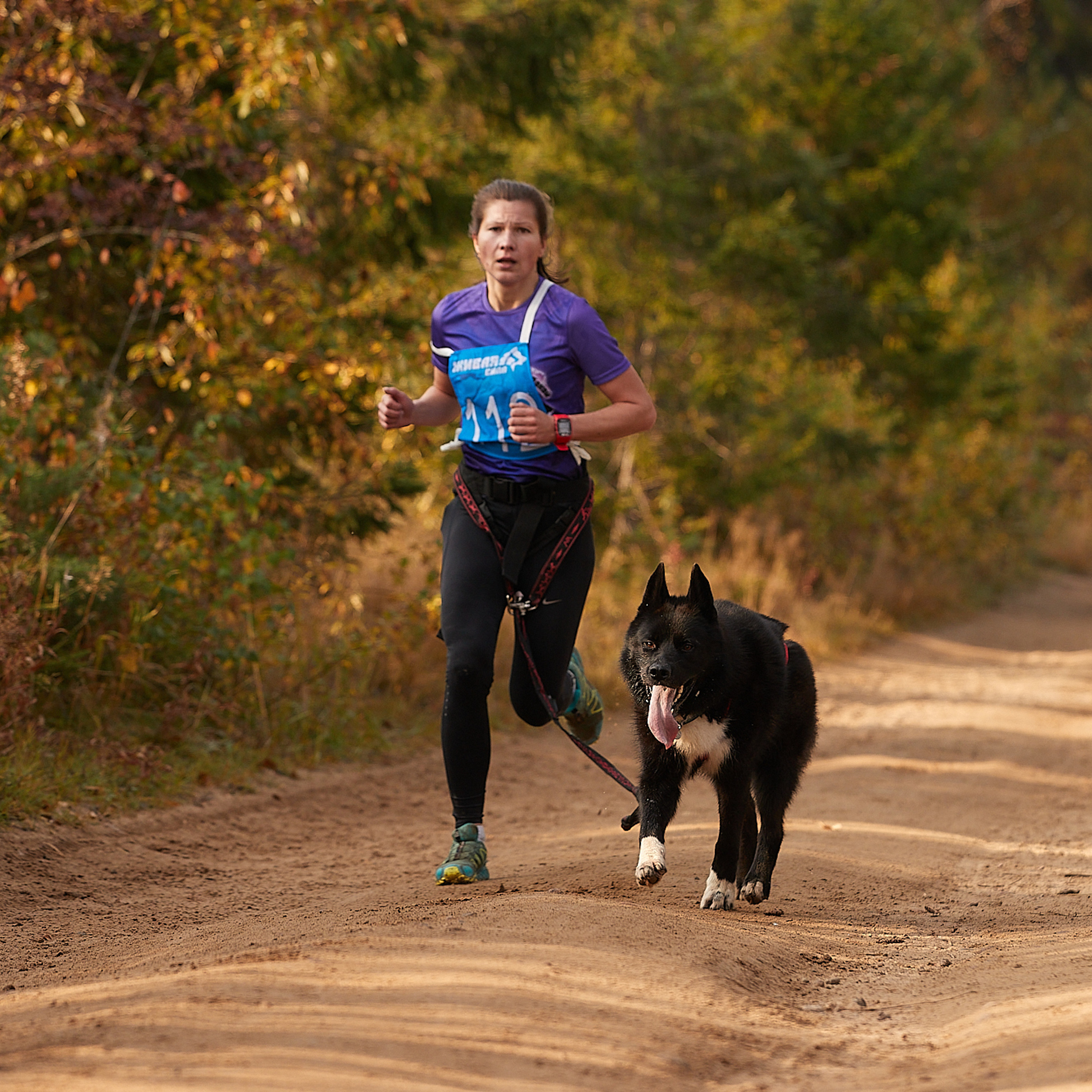 ЧЕМПИОНАТ РОССИИ РКФ 27 сентября 2020 г., 2й день. ФОТОГРАФ-АНИМАЛИСТ l LANA POLYAKOVA