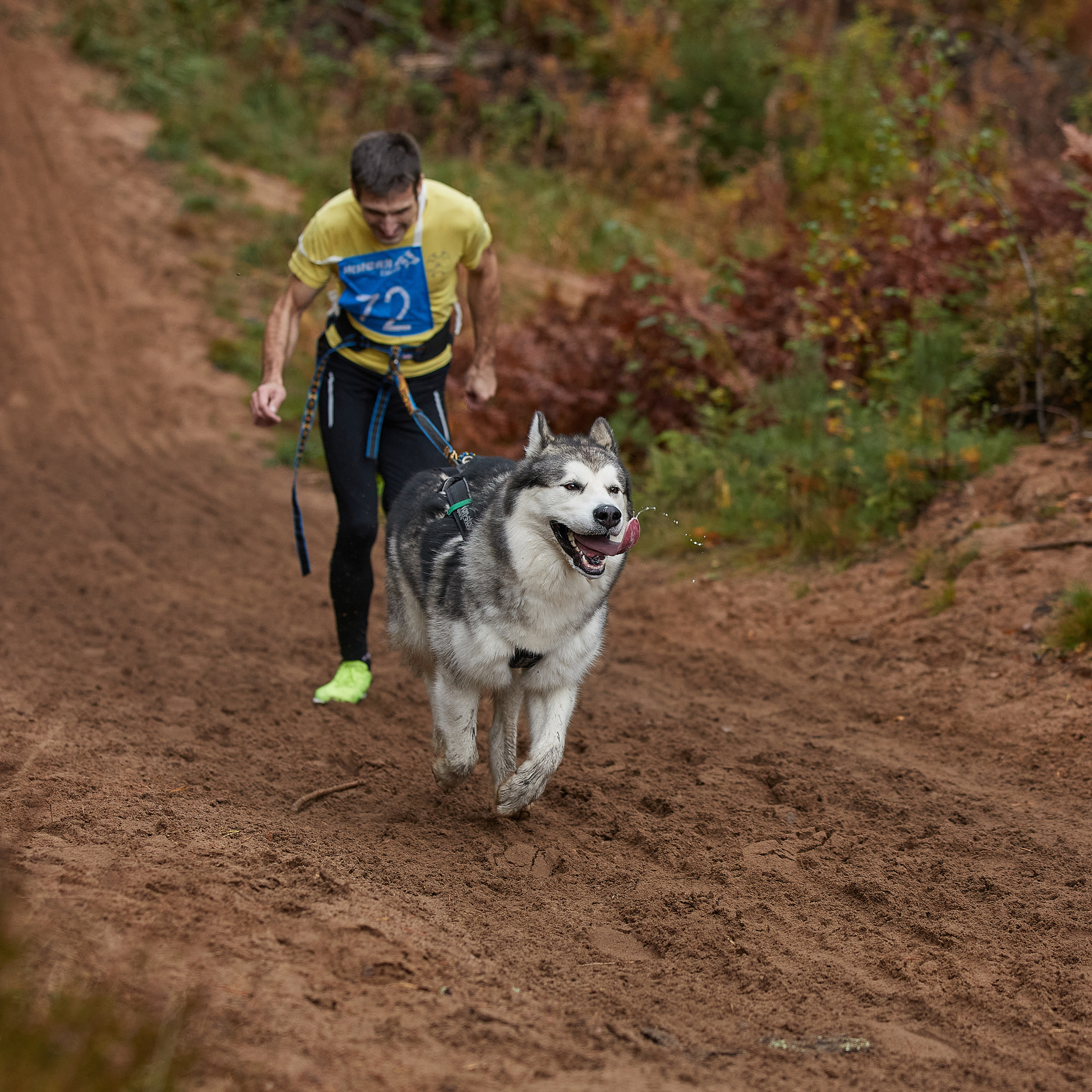 ЧЕМПИОНАТ РОССИИ РКФ 25–26 сентября 2021 г. ФОТОГРАФ-АНИМАЛИСТ l LANA POLYAKOVA