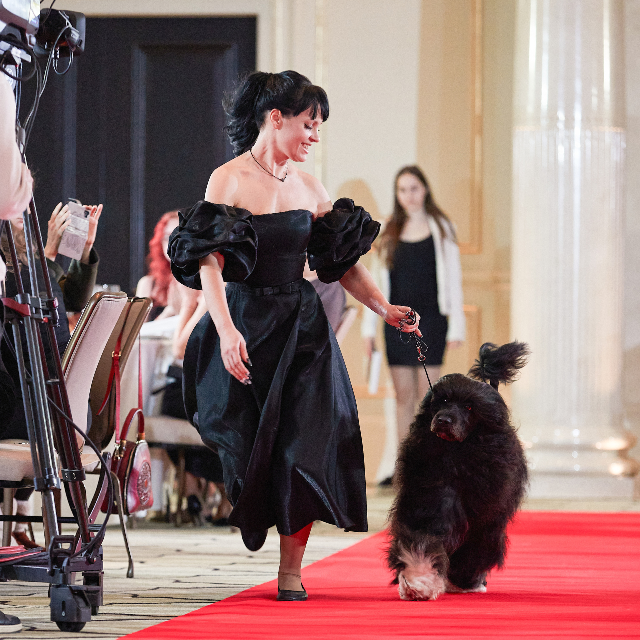 Репортаж с церемонии «BEST RUSSIAN DOG 2022». ФОТОГРАФ-АНИМАЛИСТ l LANA POLYAKOVA
