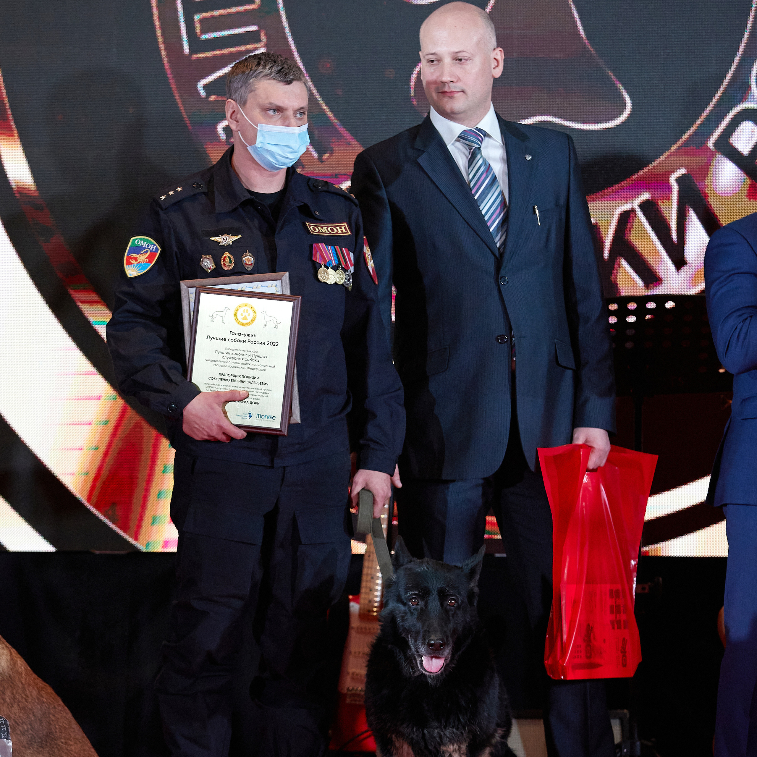 Репортаж с церемонии «BEST RUSSIAN DOG 2022». ФОТОГРАФ-АНИМАЛИСТ l LANA POLYAKOVA