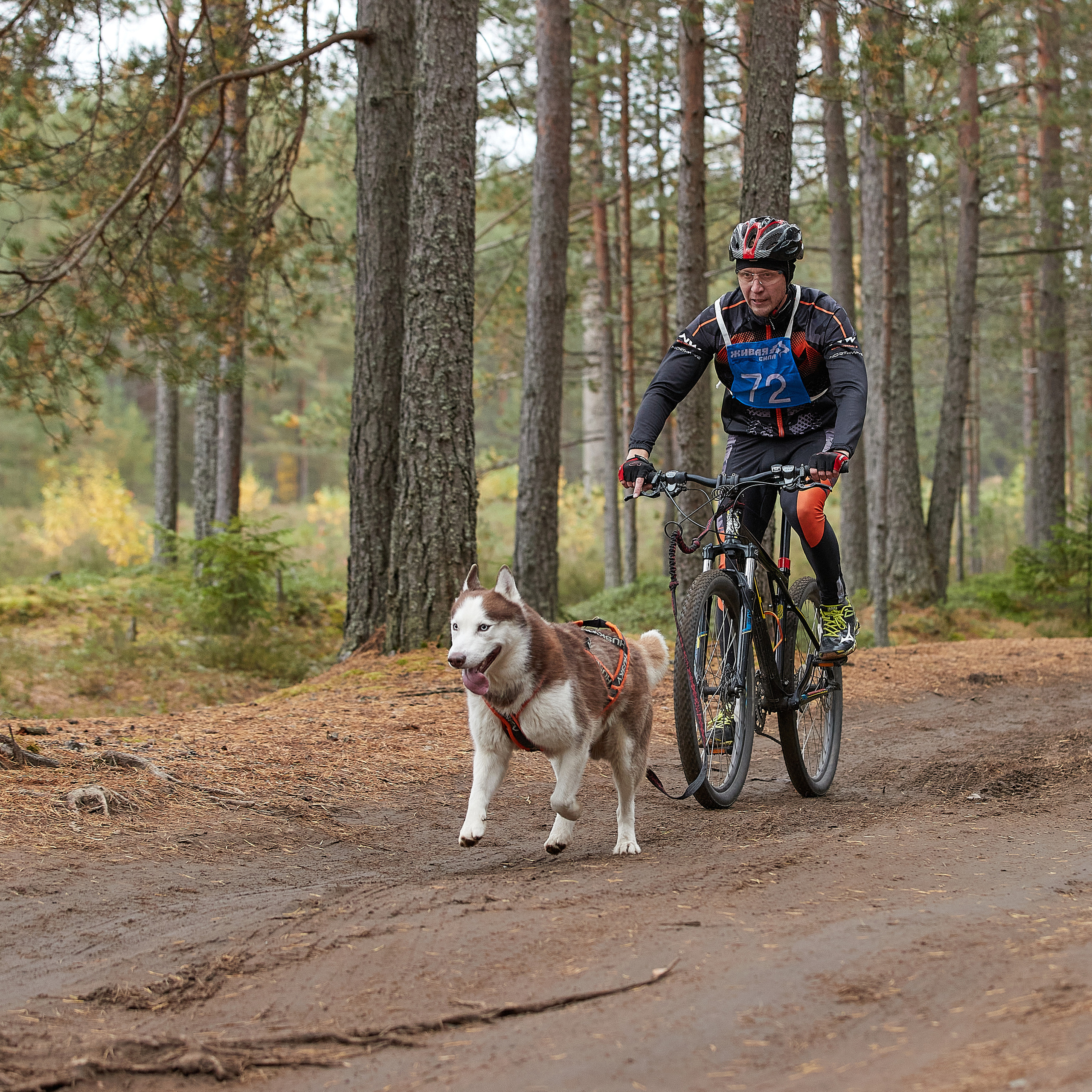 ЧЕМПИОНАТ РОССИИ РКФ 25–26 сентября 2021 г. ФОТОГРАФ-АНИМАЛИСТ l LANA POLYAKOVA