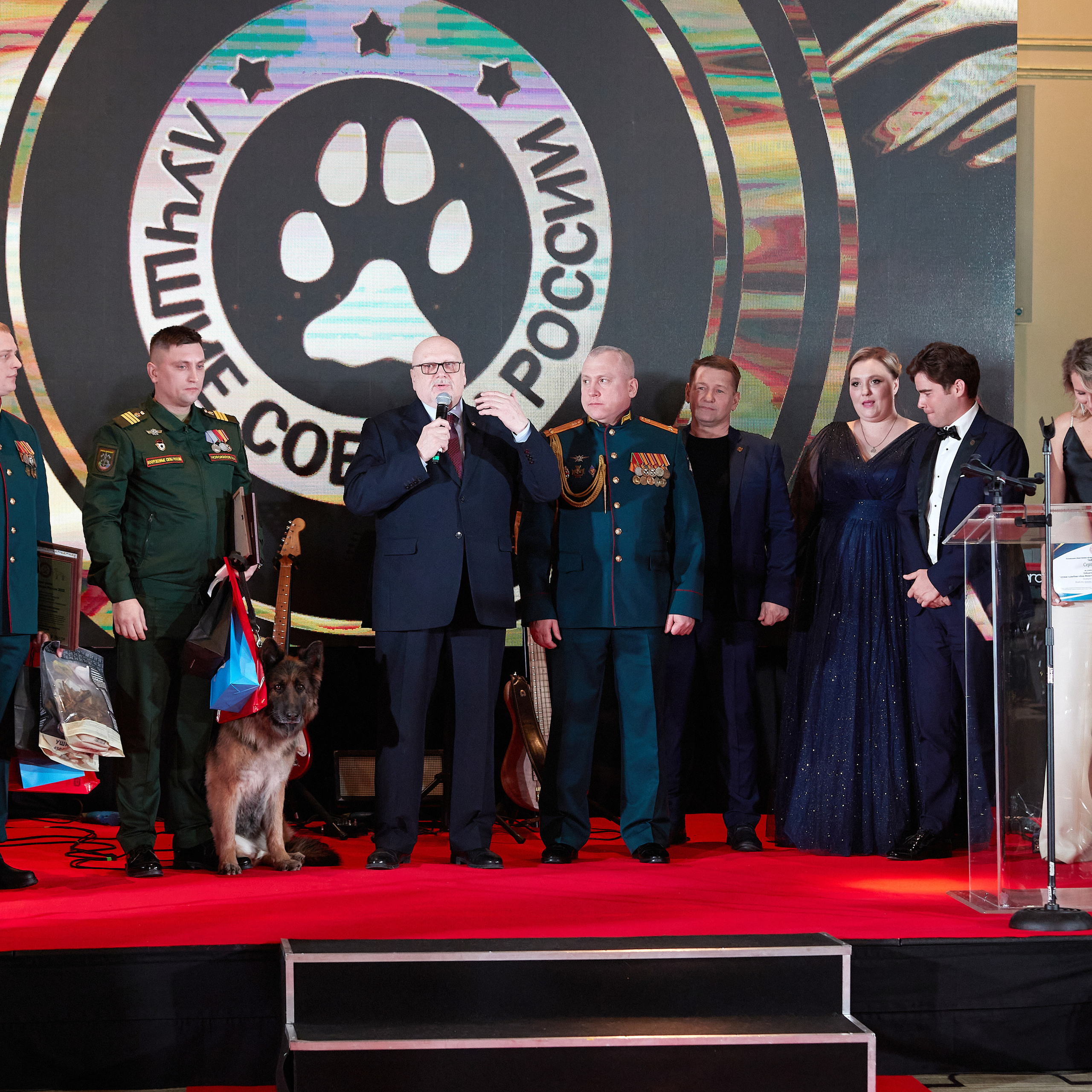 Репортаж с церемонии «BEST RUSSIAN DOG 2022». ФОТОГРАФ-АНИМАЛИСТ l LANA POLYAKOVA