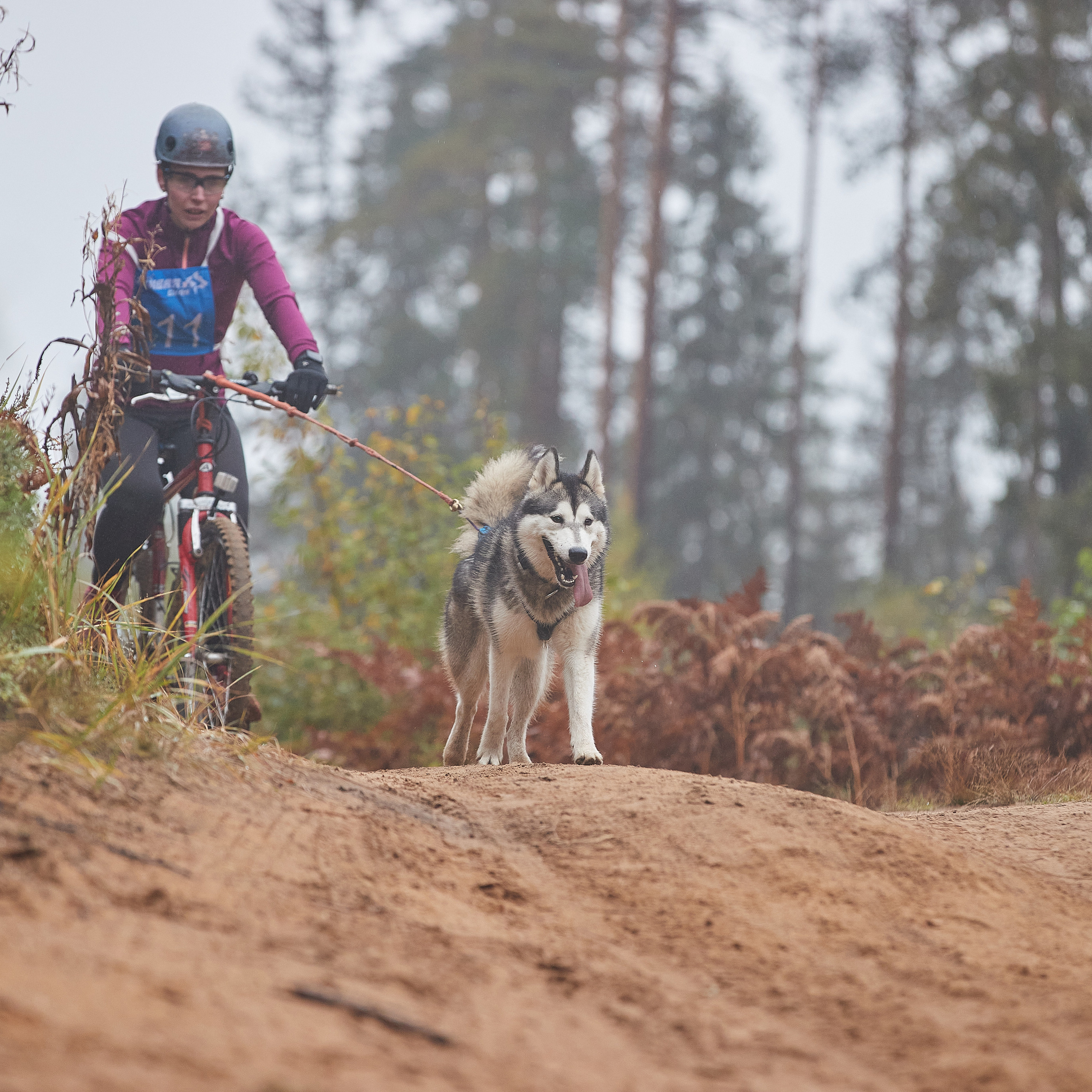 ЧЕМПИОНАТ РОССИИ РКФ 25–26 сентября 2021 г. ФОТОГРАФ-АНИМАЛИСТ l LANA POLYAKOVA
