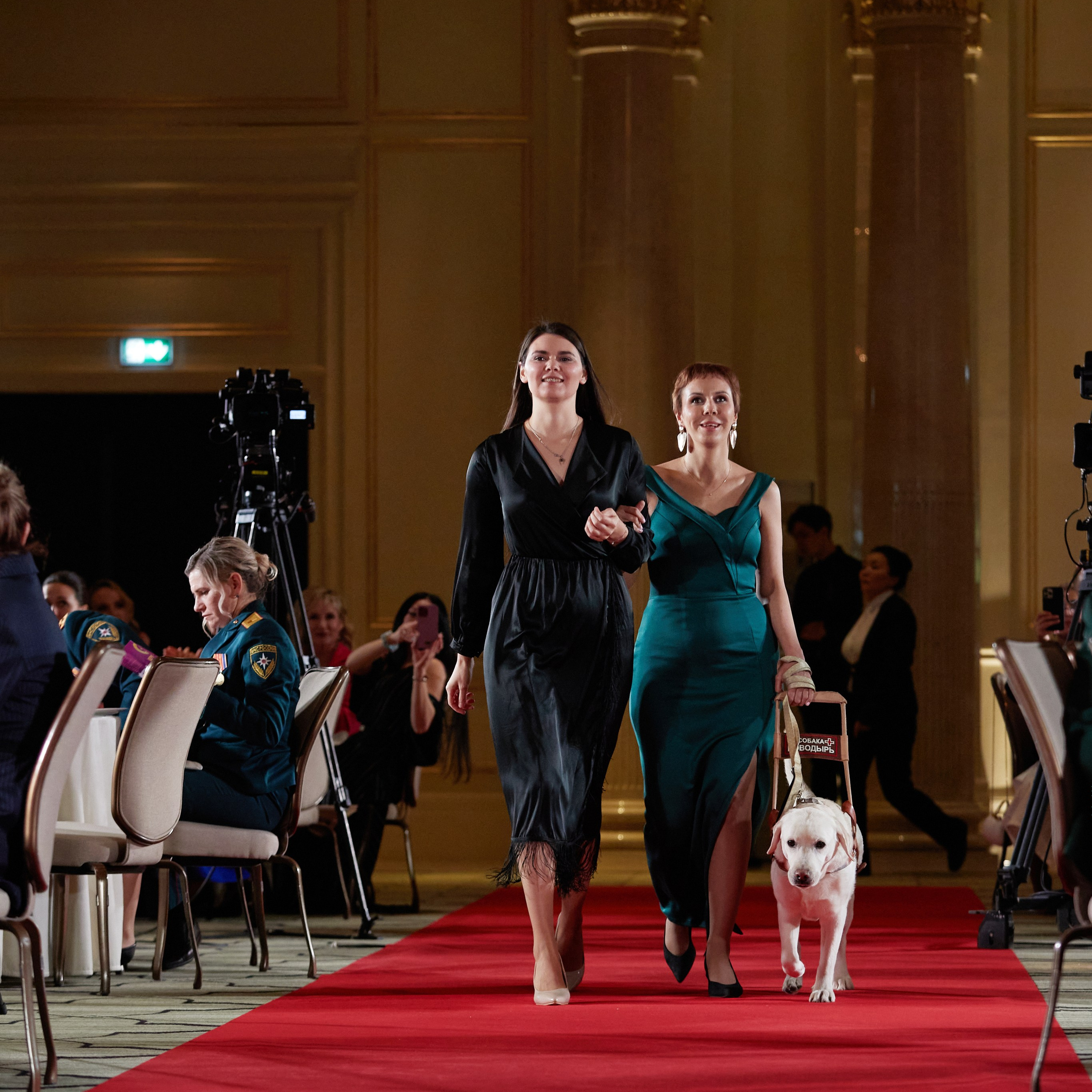 Репортаж с церемонии «BEST RUSSIAN DOG 2023». ФОТОГРАФ-АНИМАЛИСТ l LANA POLYAKOVA