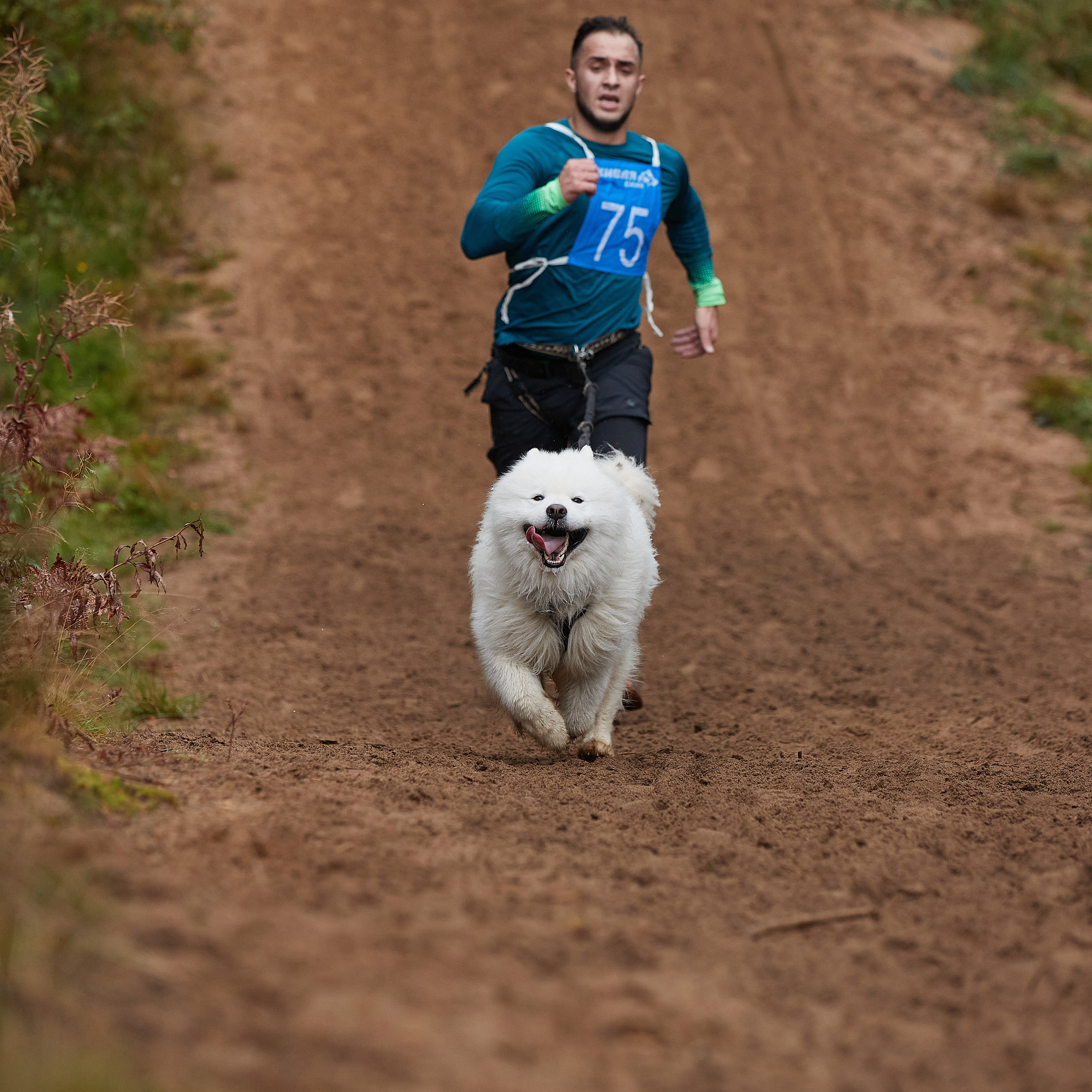 ЧЕМПИОНАТ РОССИИ РКФ 25–26 сентября 2021 г. ФОТОГРАФ-АНИМАЛИСТ l LANA POLYAKOVA