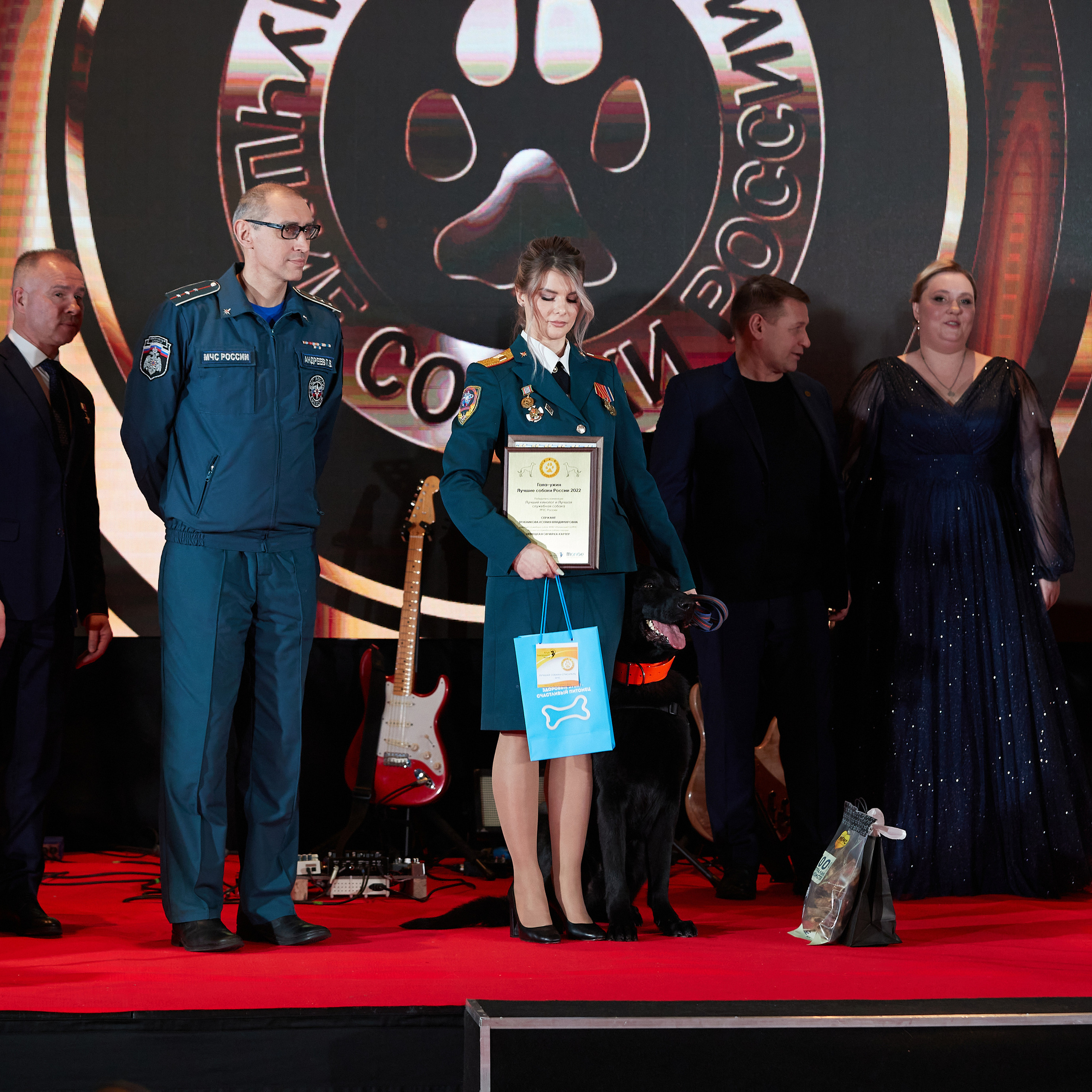 Репортаж с церемонии «BEST RUSSIAN DOG 2022». ФОТОГРАФ-АНИМАЛИСТ l LANA POLYAKOVA