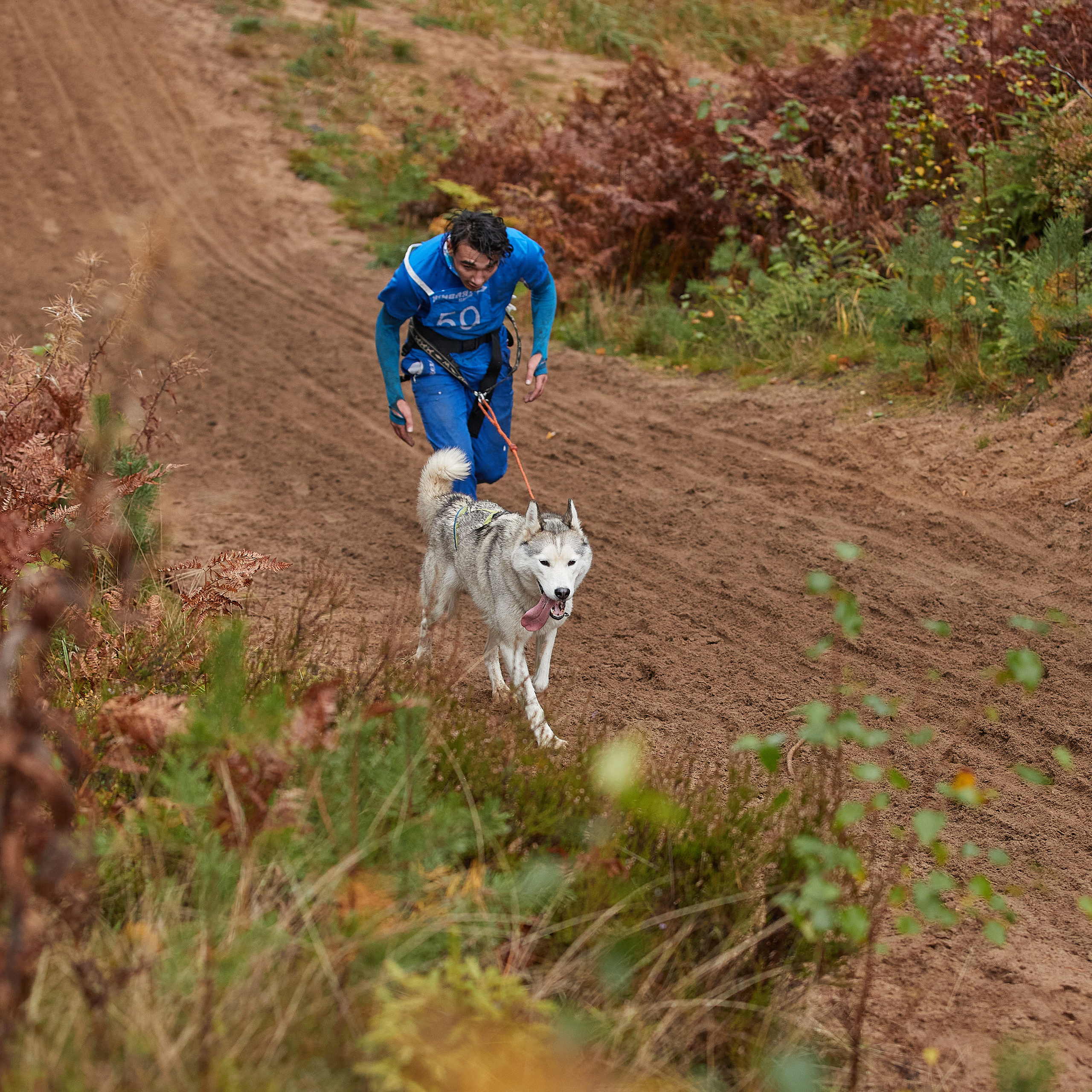 ЧЕМПИОНАТ РОССИИ РКФ 25–26 сентября 2021 г. ФОТОГРАФ-АНИМАЛИСТ l LANA POLYAKOVA