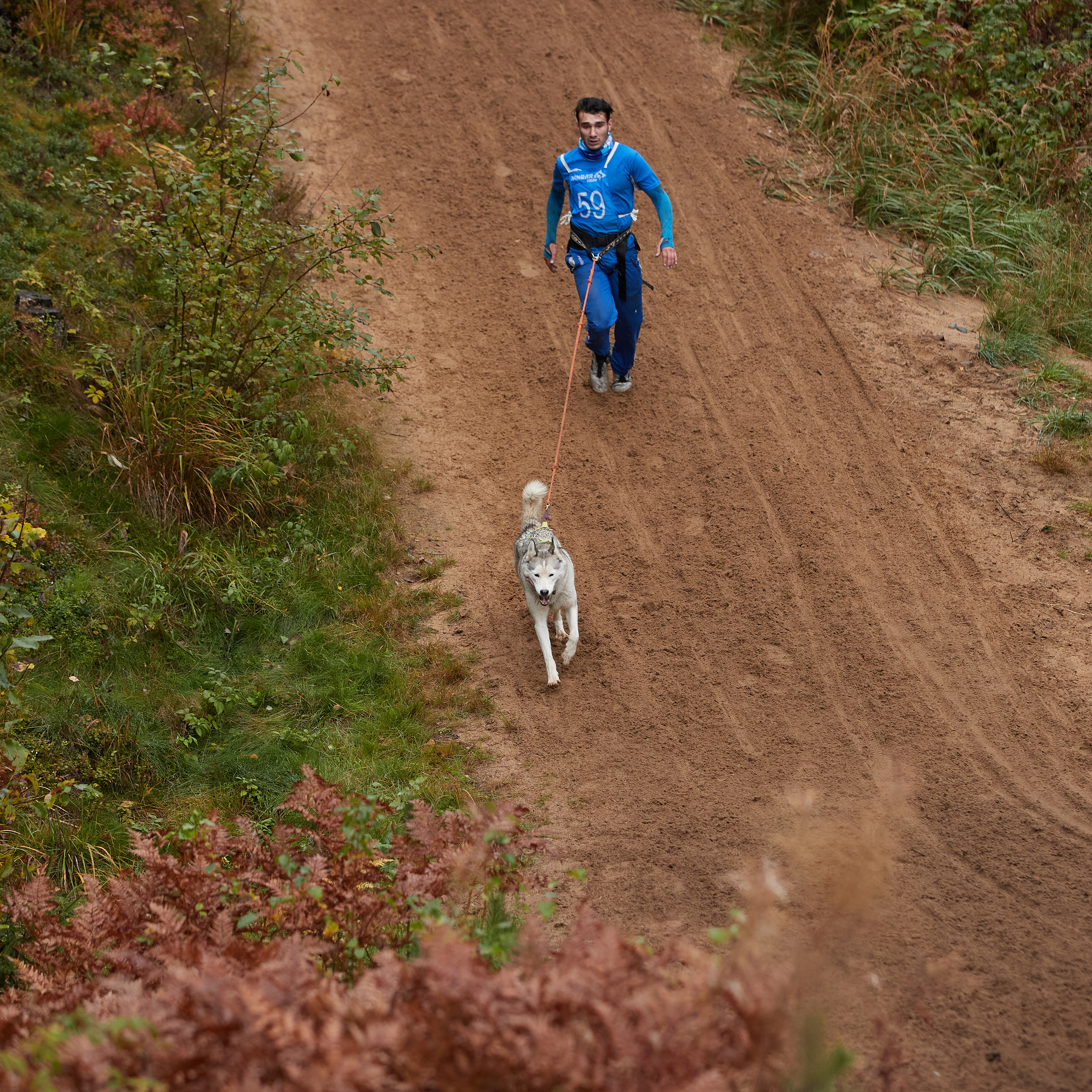 ЧЕМПИОНАТ РОССИИ РКФ 25–26 сентября 2021 г. ФОТОГРАФ-АНИМАЛИСТ l LANA POLYAKOVA