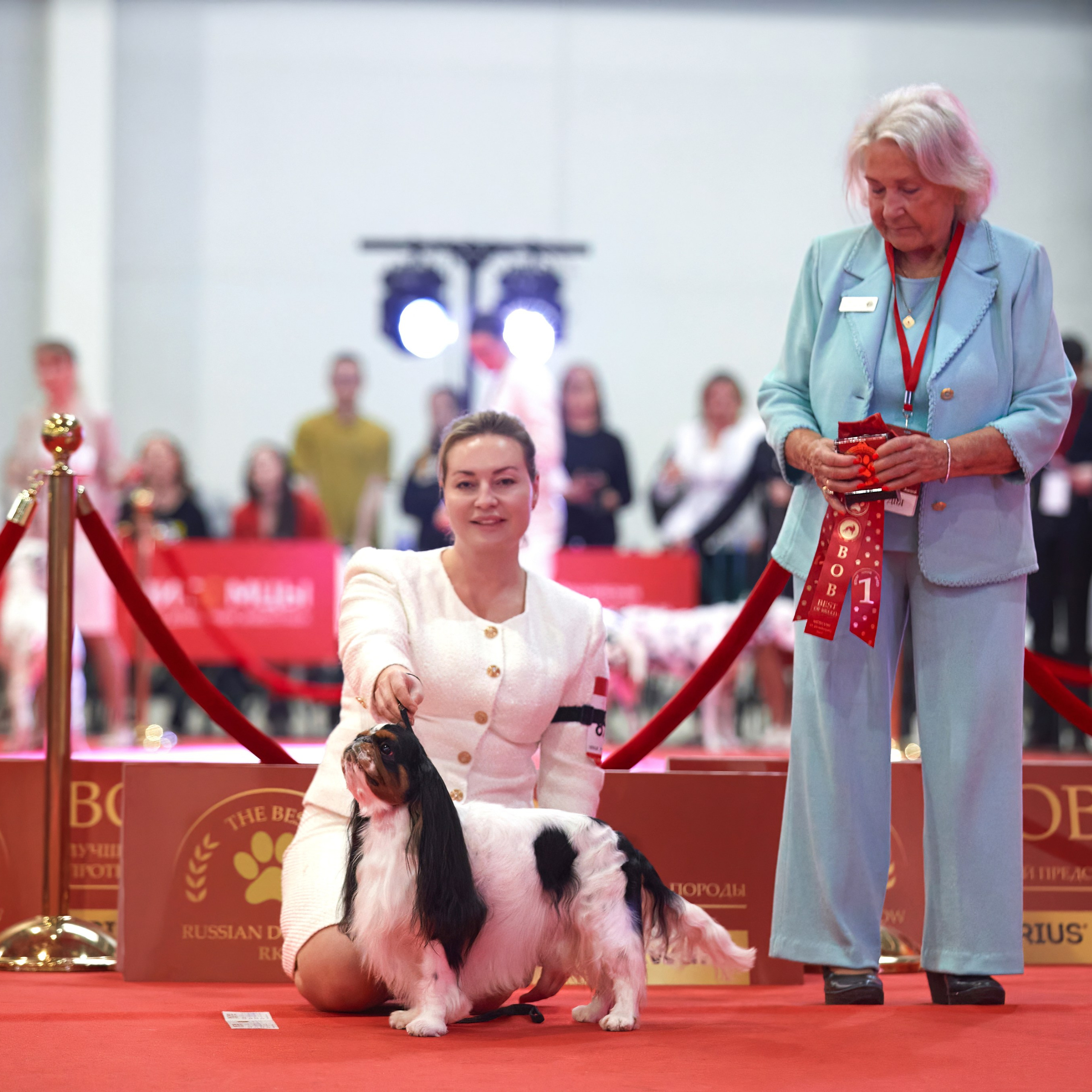 Шоу чемпионов «ЛУЧШИЕ СОБАКИ РОССИИ». ФОТОГРАФ-АНИМАЛИСТ l LANA POLYAKOVA