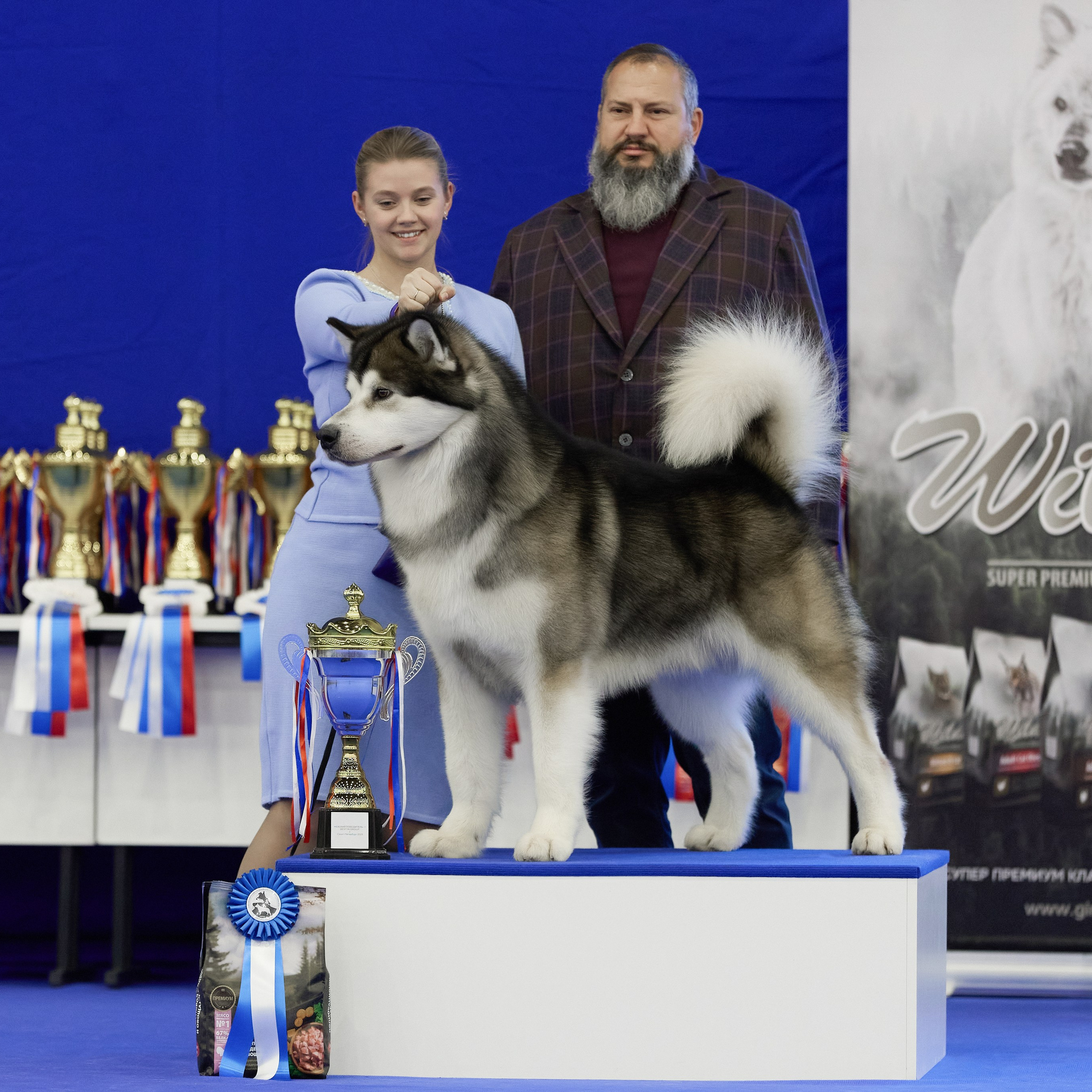 ВЫСТАВКА СОБАК С ОСОБЫМ СТАТУСОМ «НЕВСКИЙ ПОБЕДИТЕЛЬ» 12-13-14.12.2025. ФОТОГРАФ-АНИМАЛИСТ l LANA POLYAKOVA