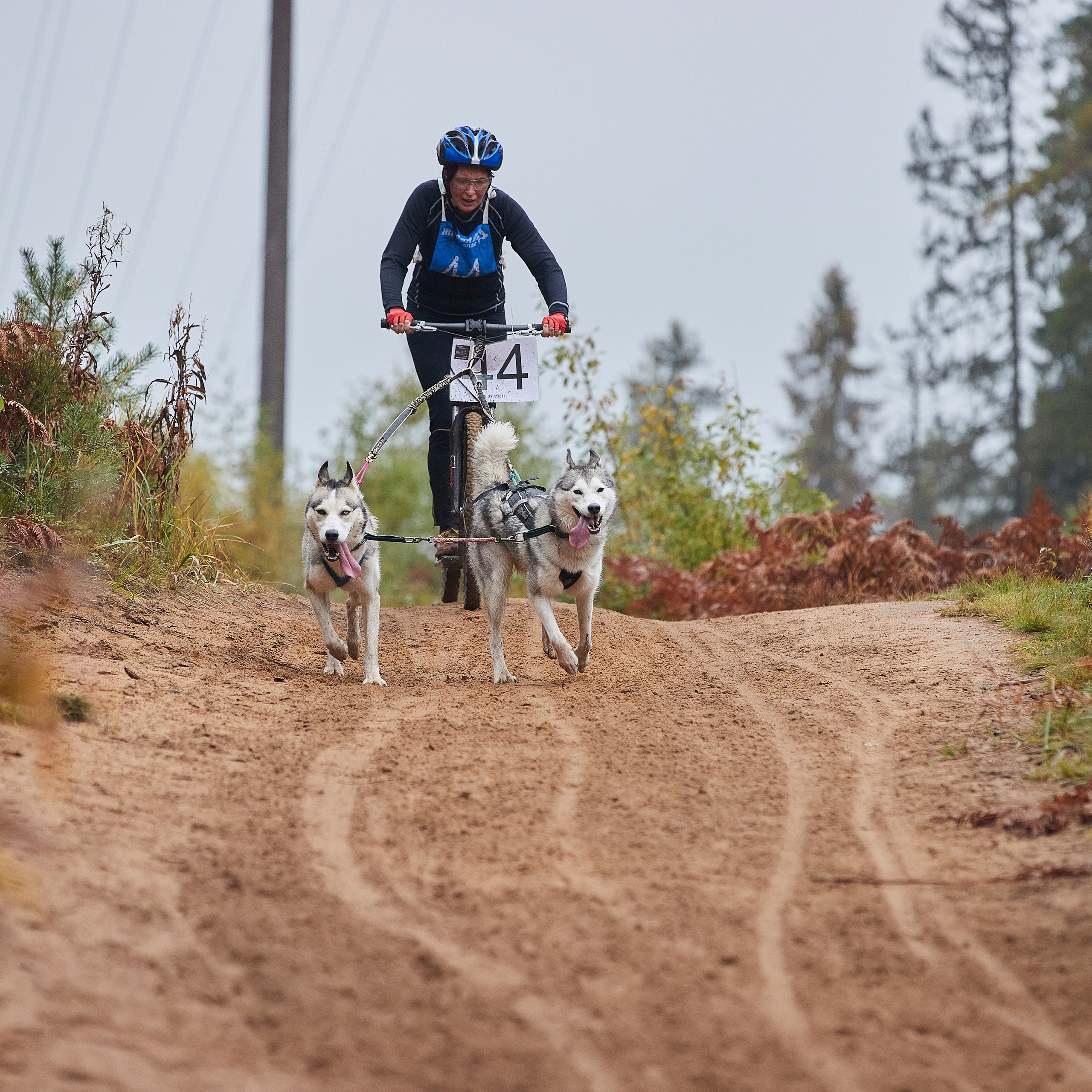 ЧЕМПИОНАТ РОССИИ РКФ 25–26 сентября 2021 г. ФОТОГРАФ-АНИМАЛИСТ l LANA POLYAKOVA