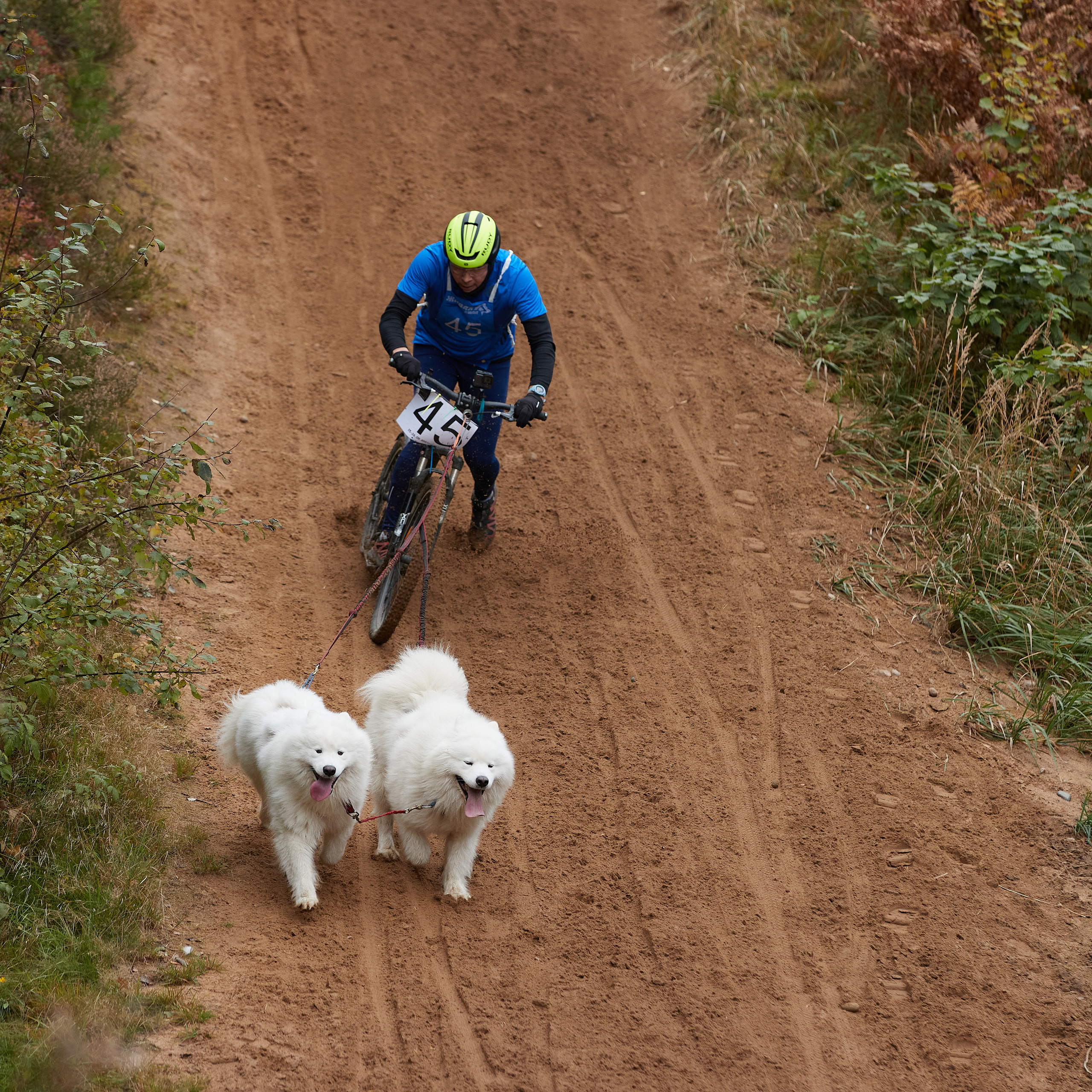 ЧЕМПИОНАТ РОССИИ РКФ 25–26 сентября 2021 г. ФОТОГРАФ-АНИМАЛИСТ l LANA POLYAKOVA