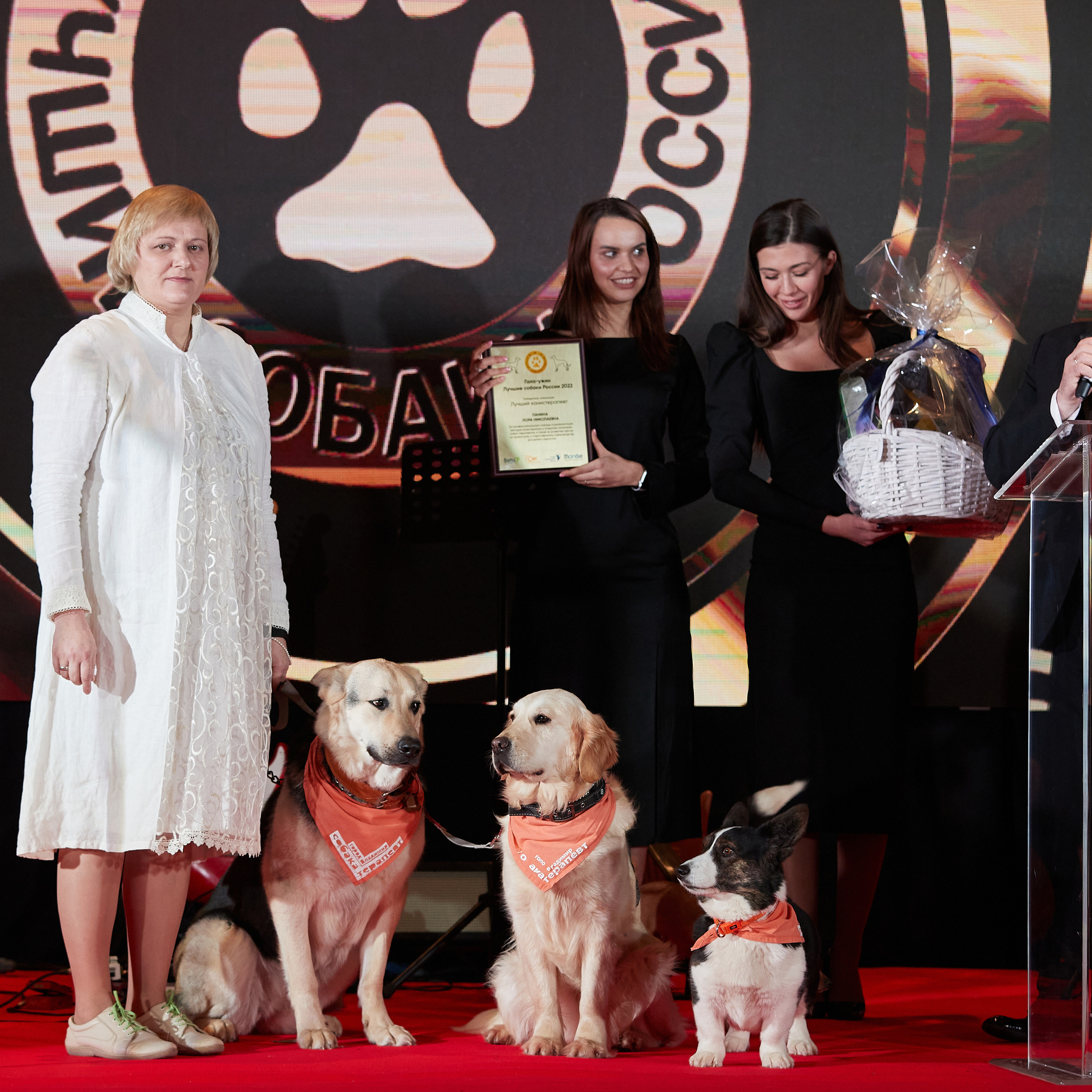 Репортаж с церемонии «BEST RUSSIAN DOG 2022». ФОТОГРАФ-АНИМАЛИСТ l LANA POLYAKOVA