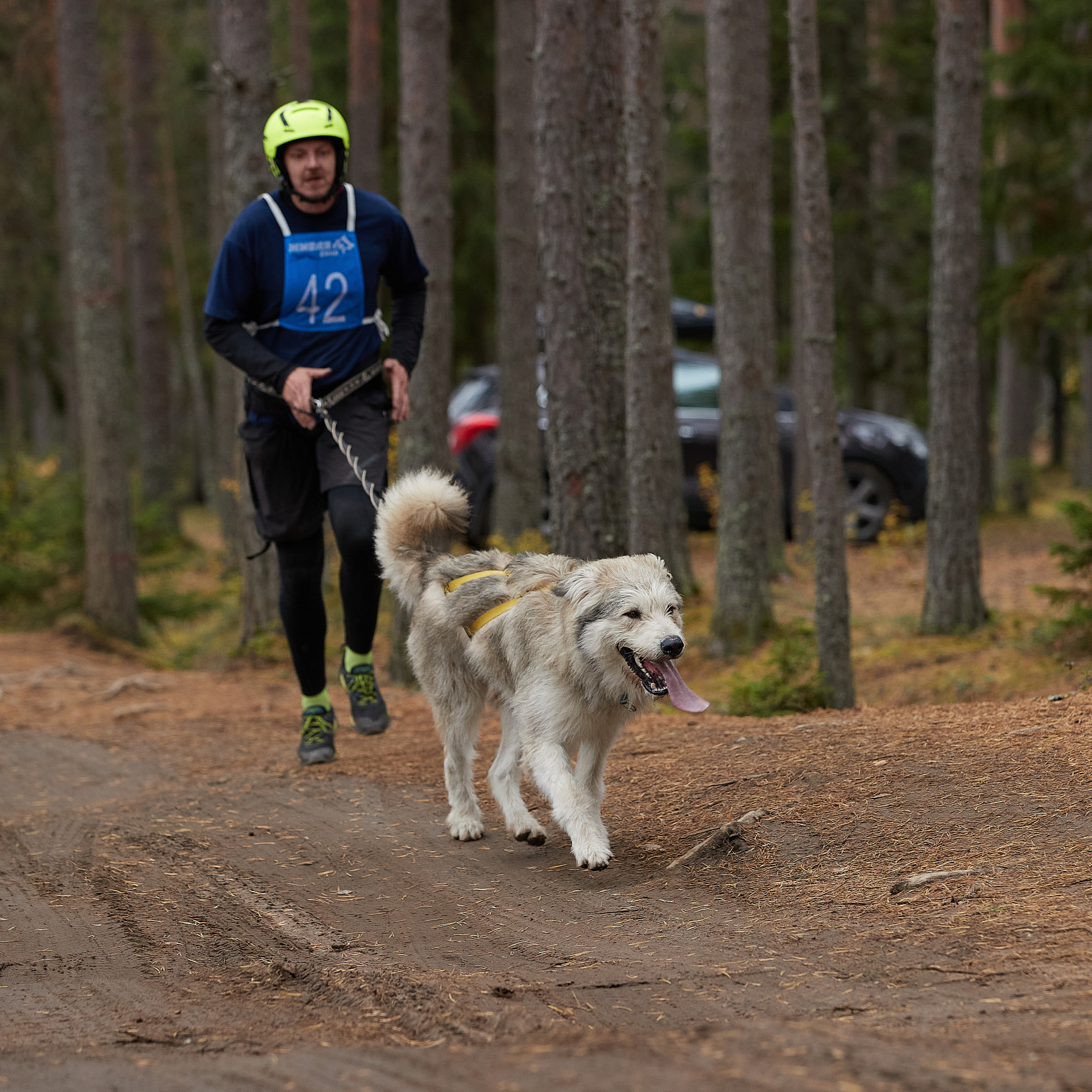 ЧЕМПИОНАТ РОССИИ РКФ 25–26 сентября 2021 г. ФОТОГРАФ-АНИМАЛИСТ l LANA POLYAKOVA